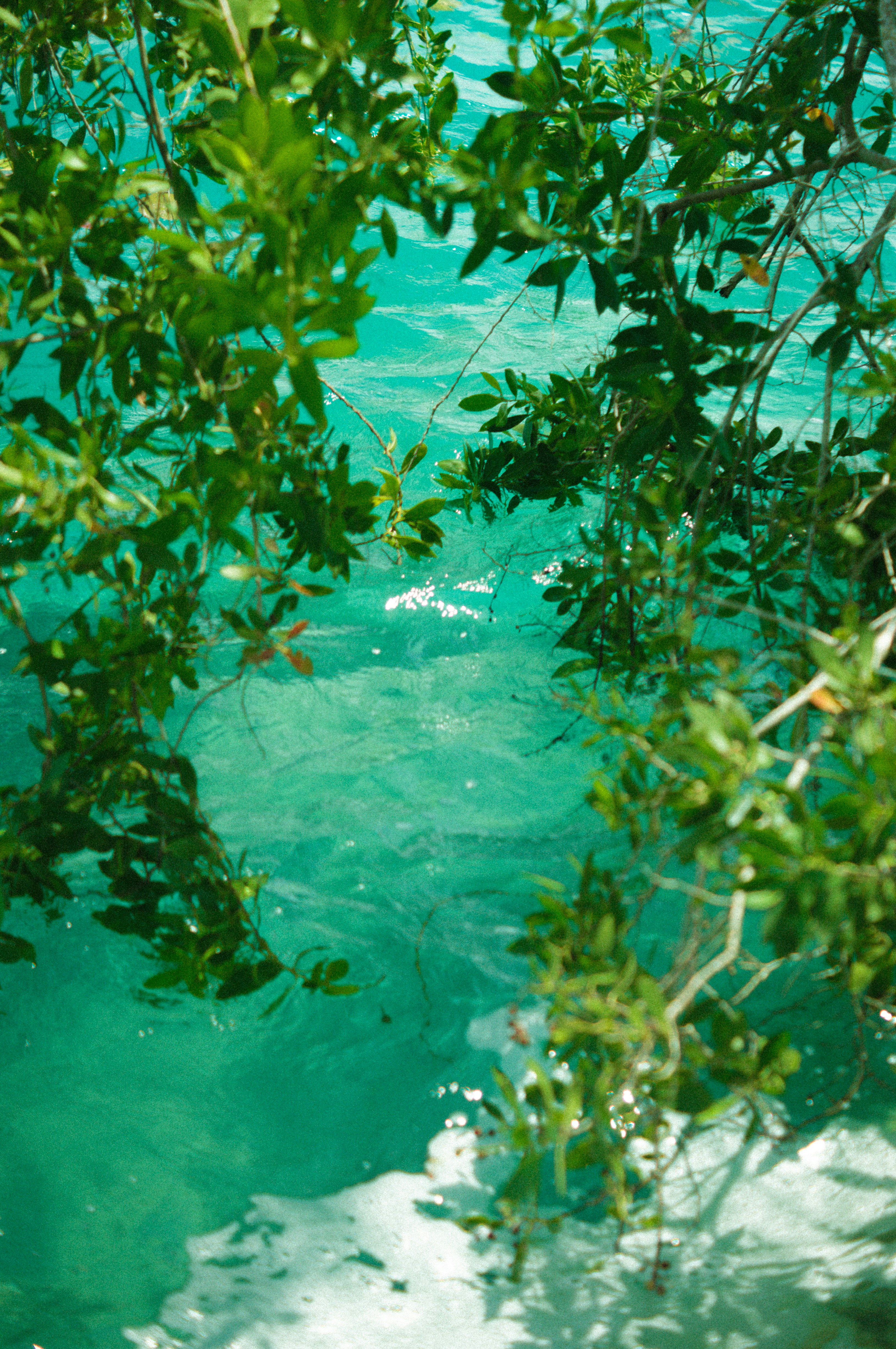 Photo by milo_contreras