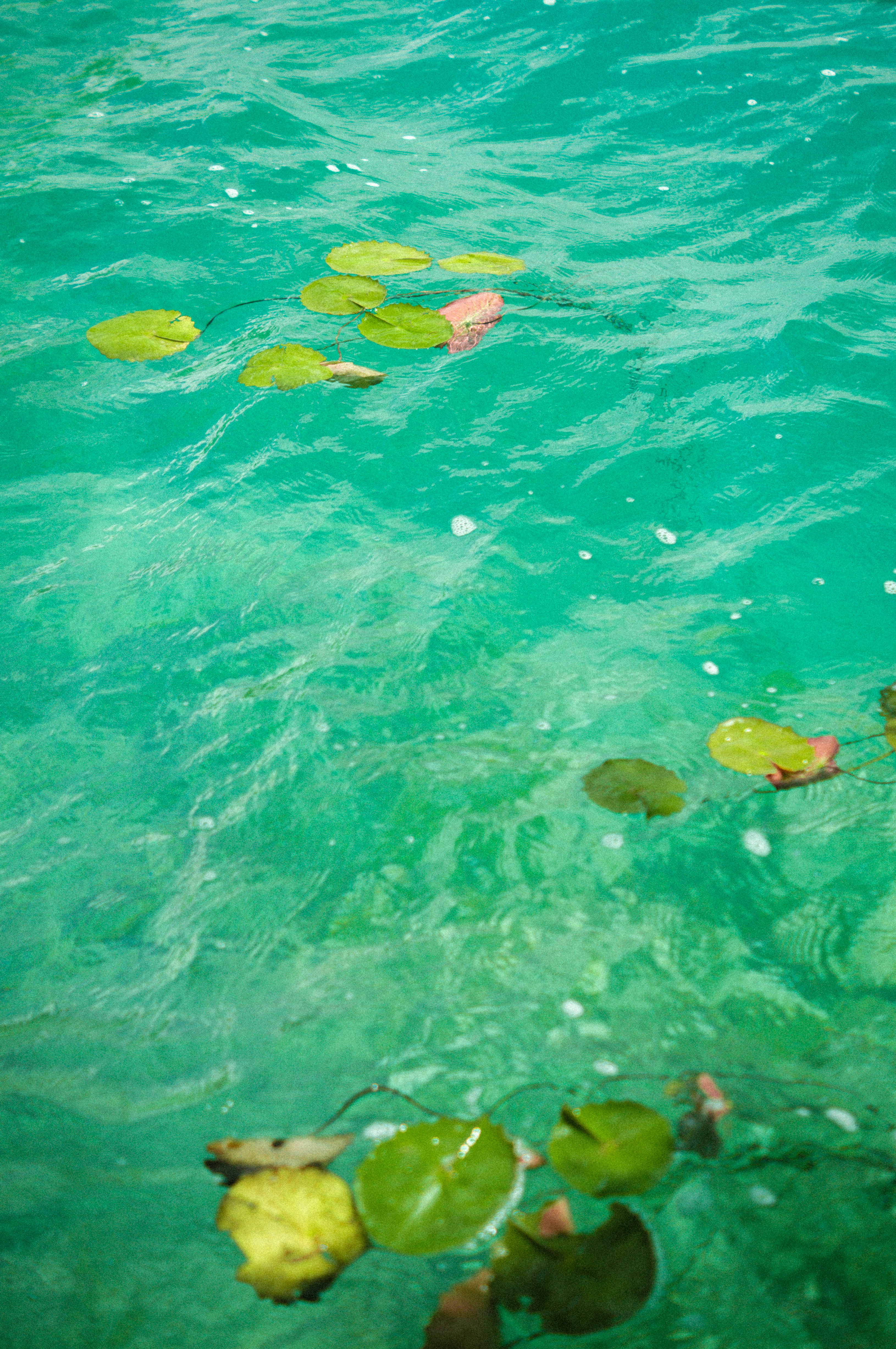 A boat floating on top of a body of water
