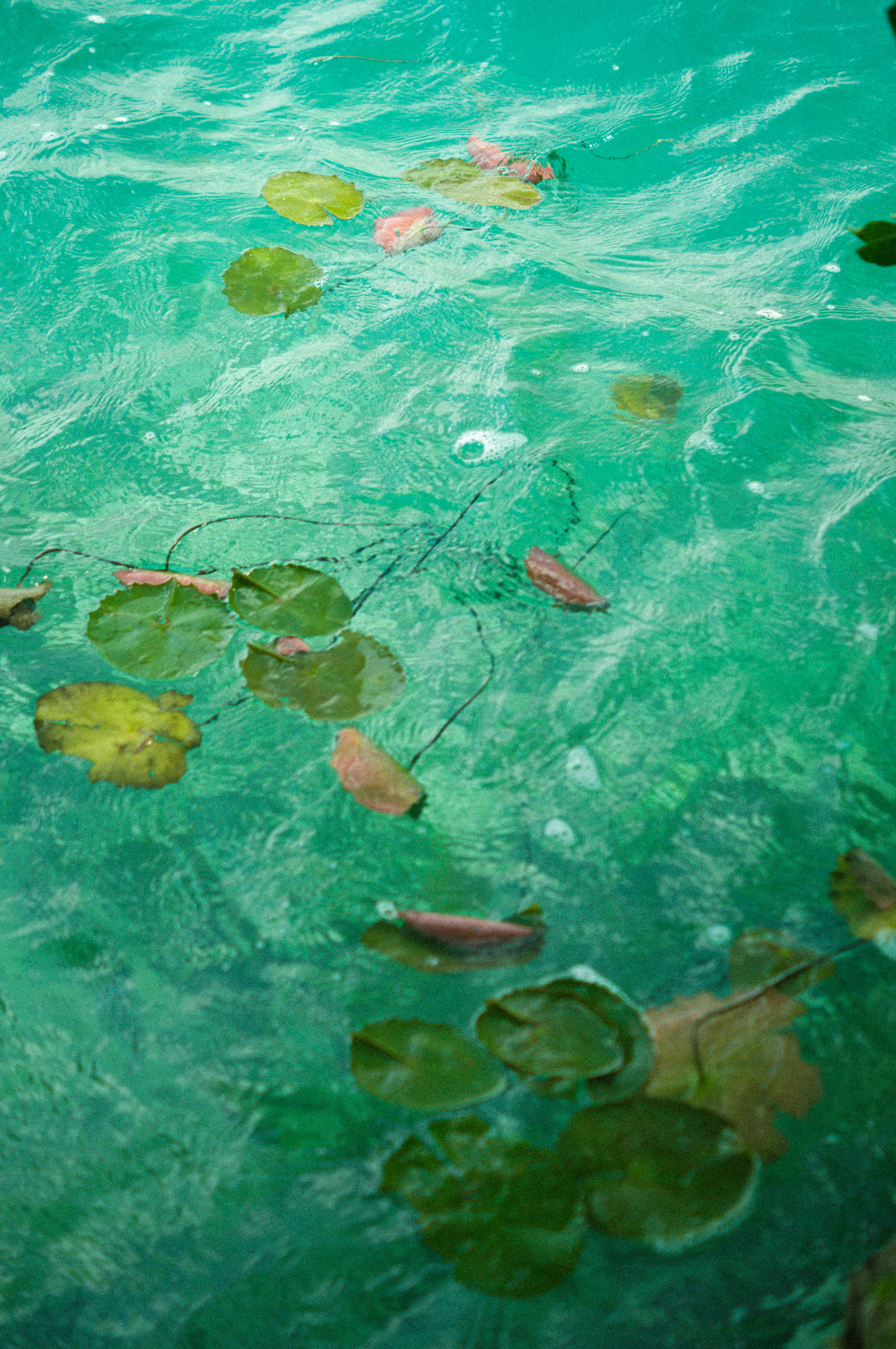 Photo by milo_contreras