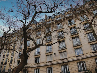 A large building with many windows and a tree in front of it