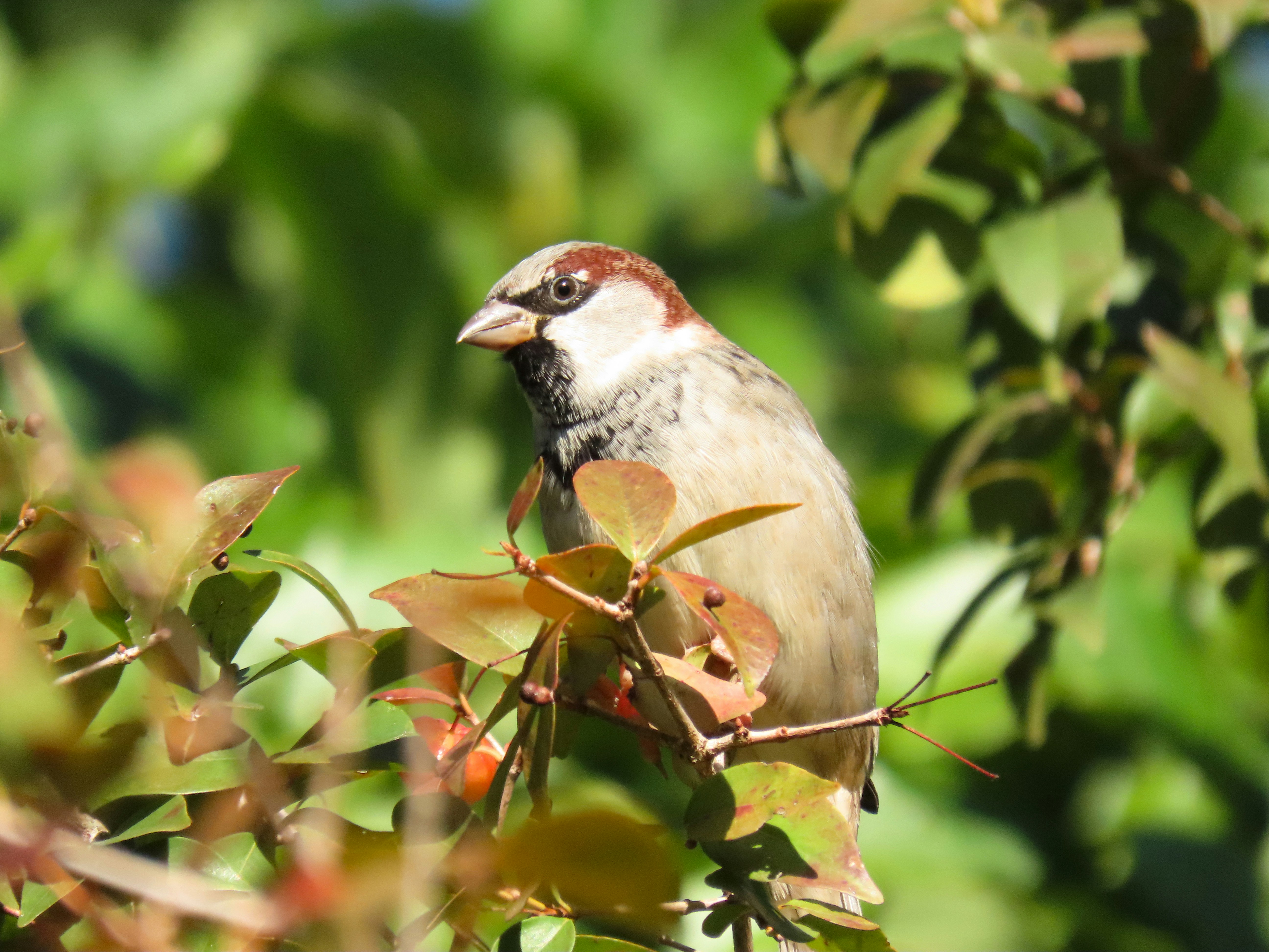 Photo by patricianicoloso