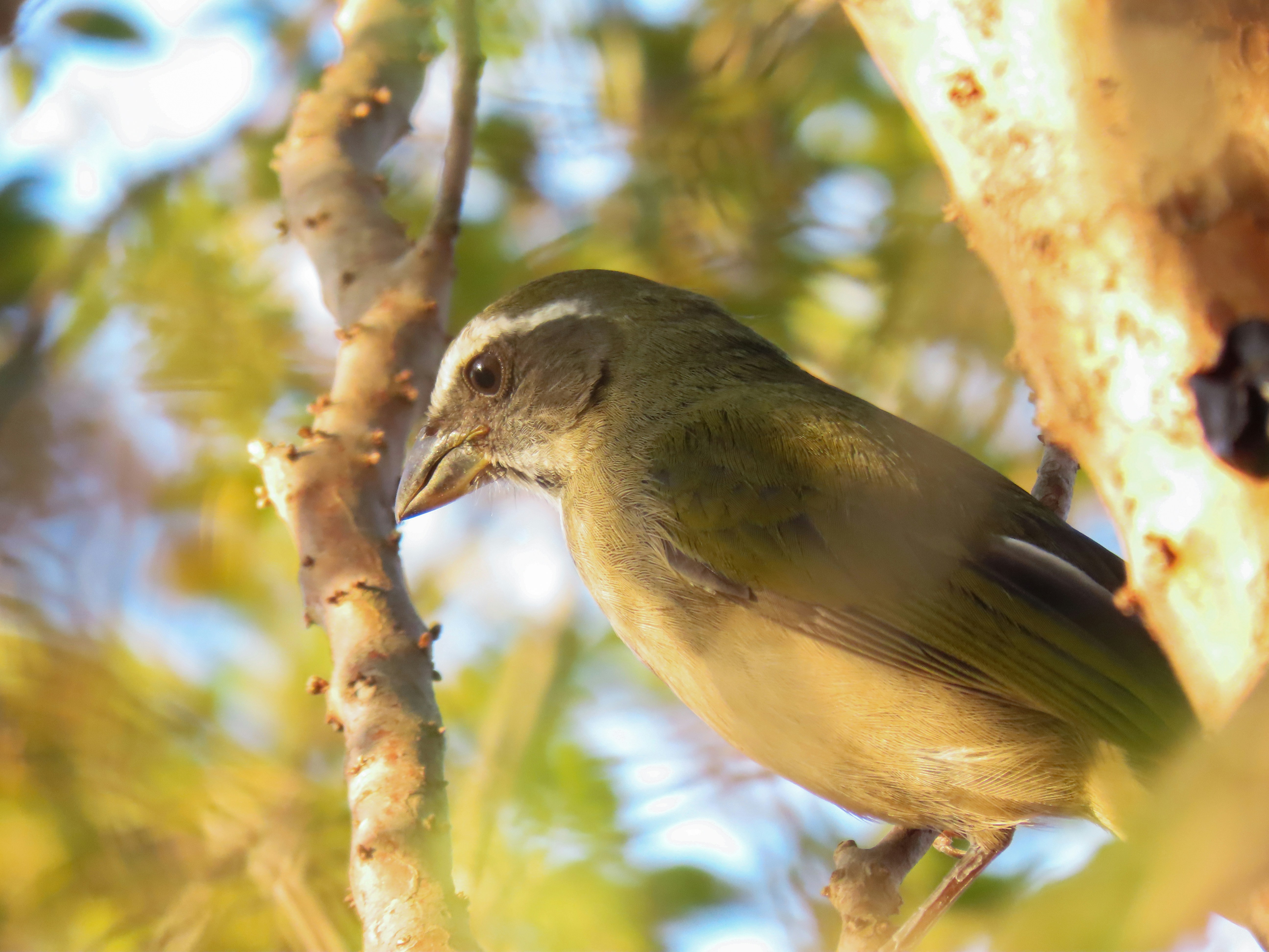 Photo by patricianicoloso