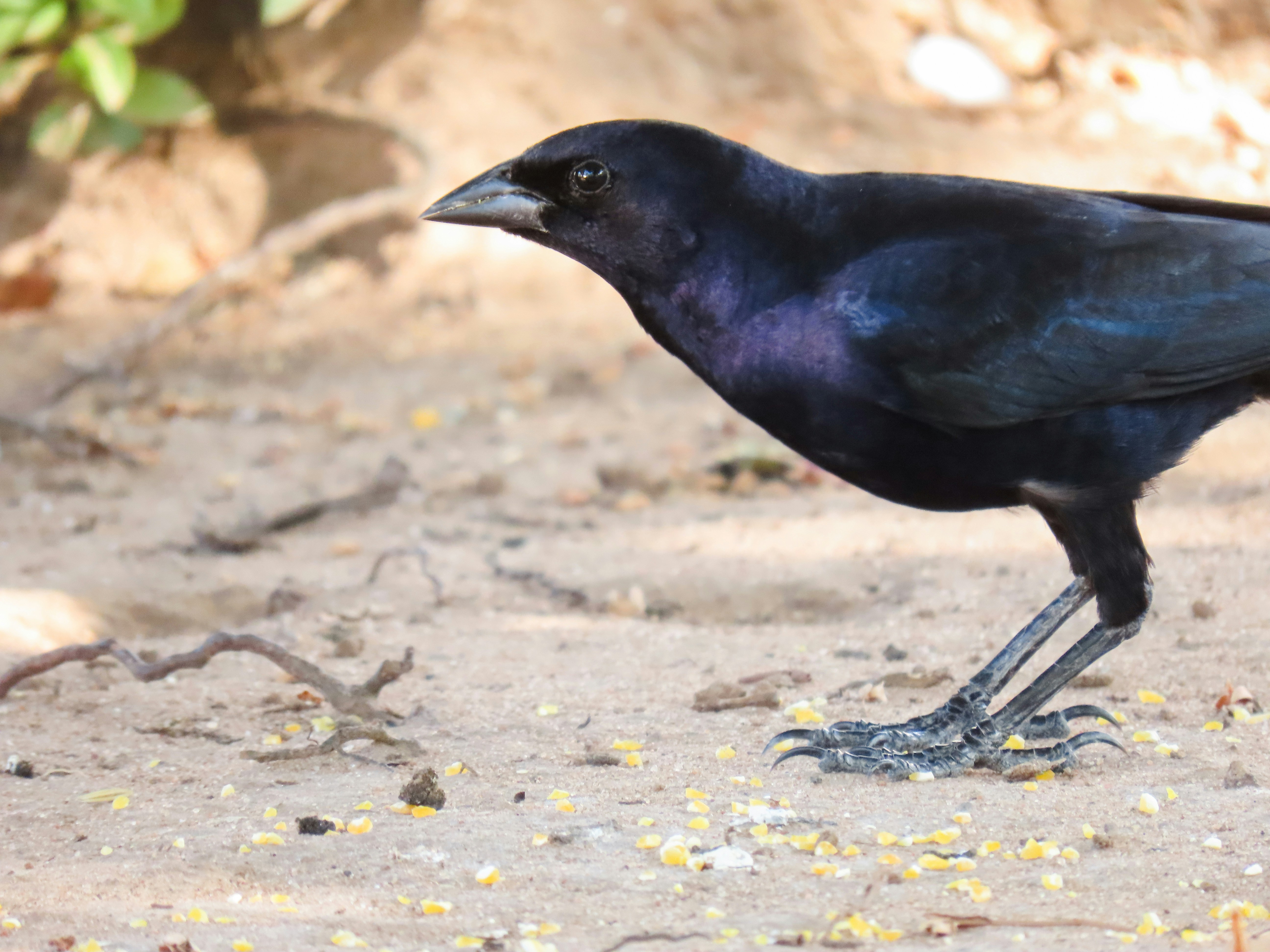 Photo by patricianicoloso