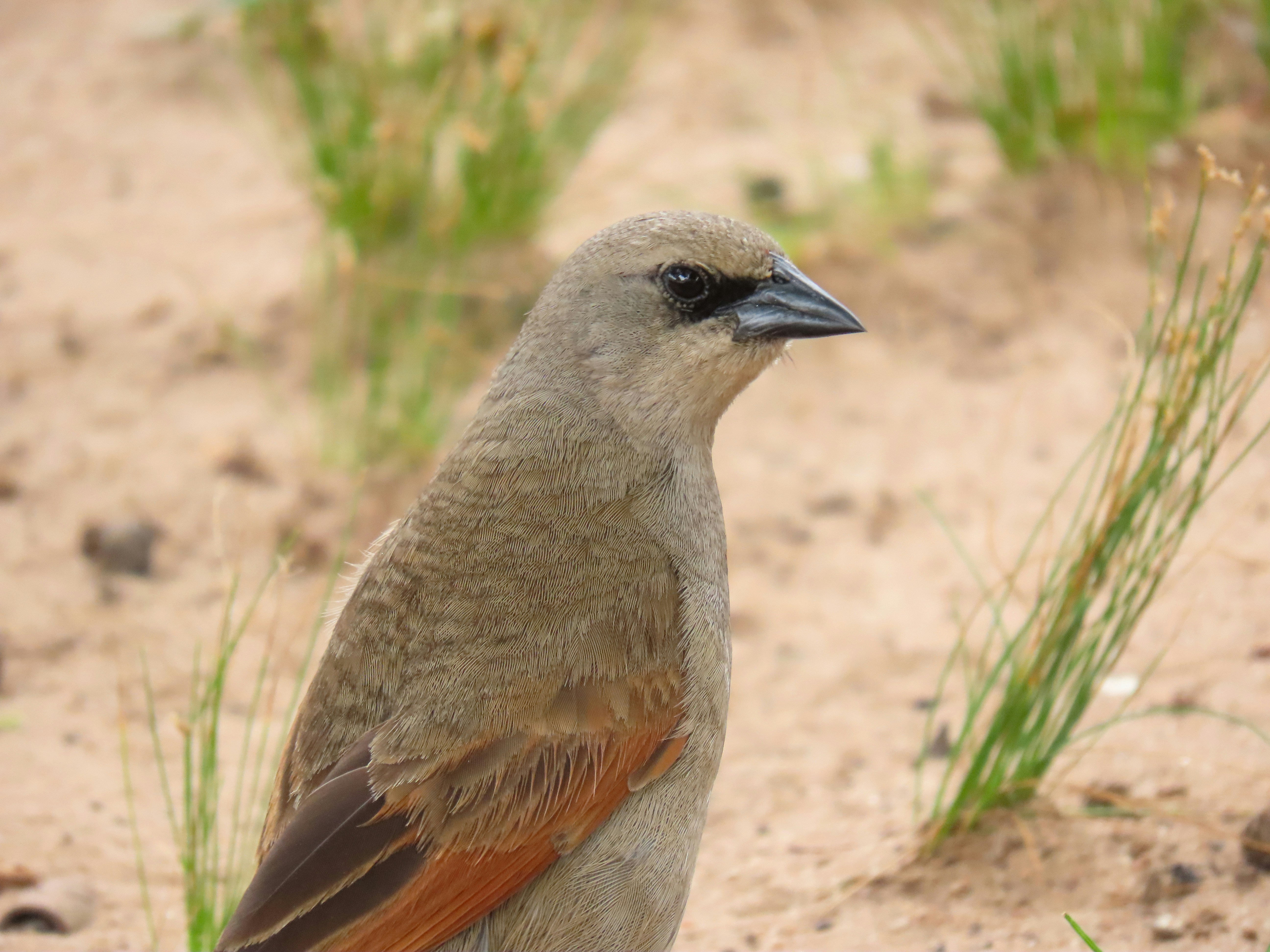 Photo by patricianicoloso