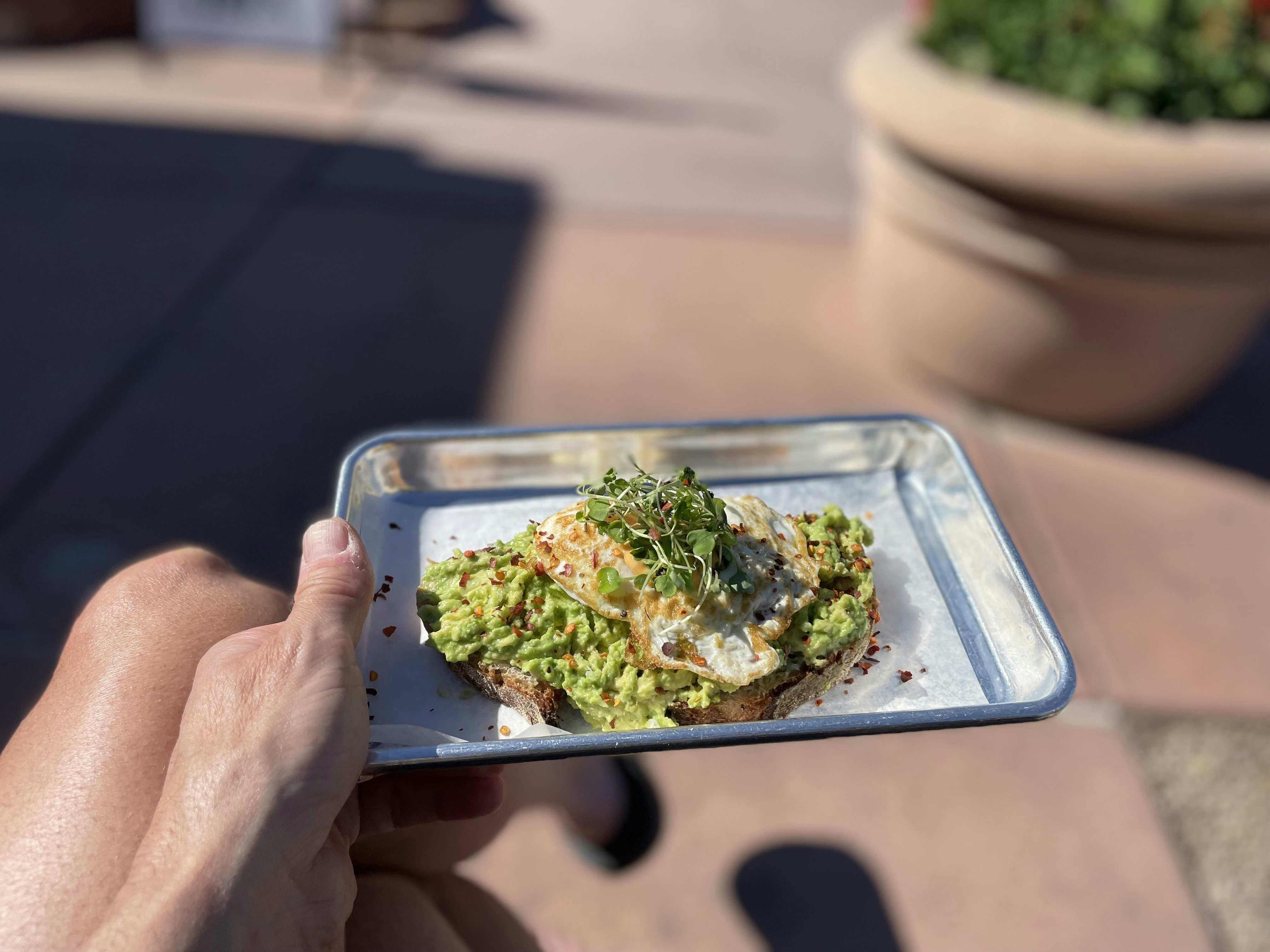 Hand holding a tray of avocado toast
