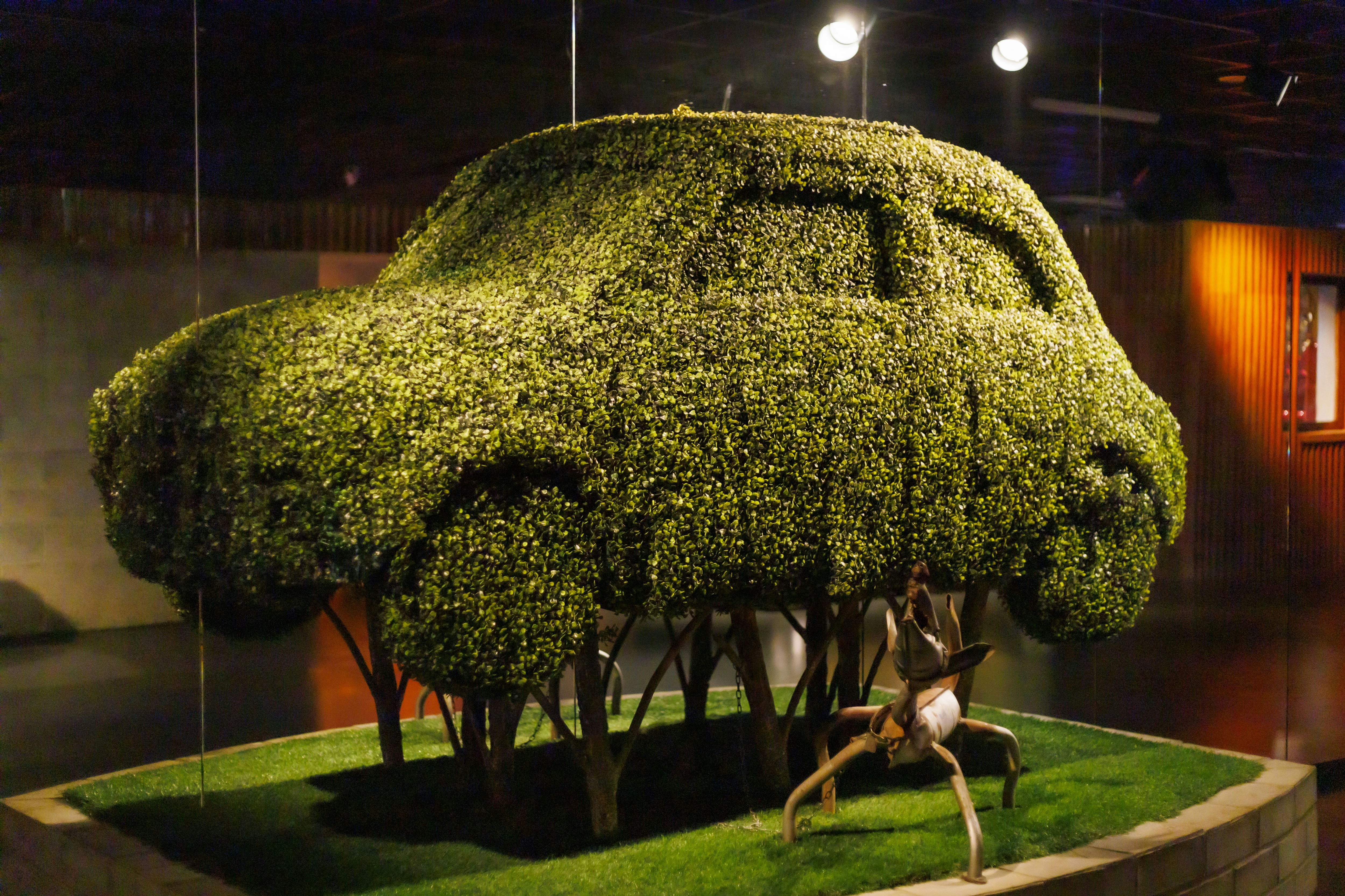 A car shaped like a tree on display in a museum photo – Free Human ...