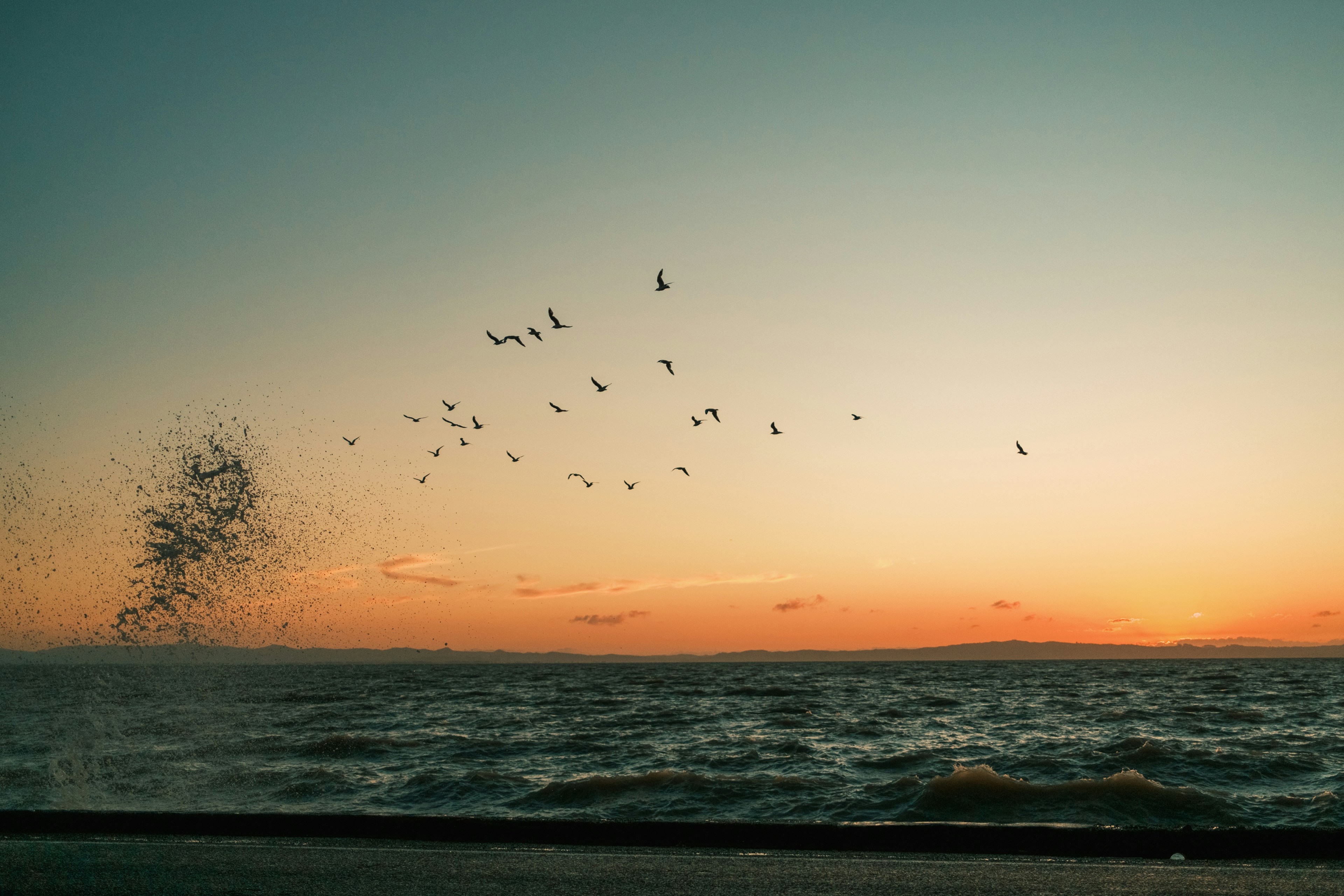 Gone for the Season: What Migrating Birds Know About Letting Go