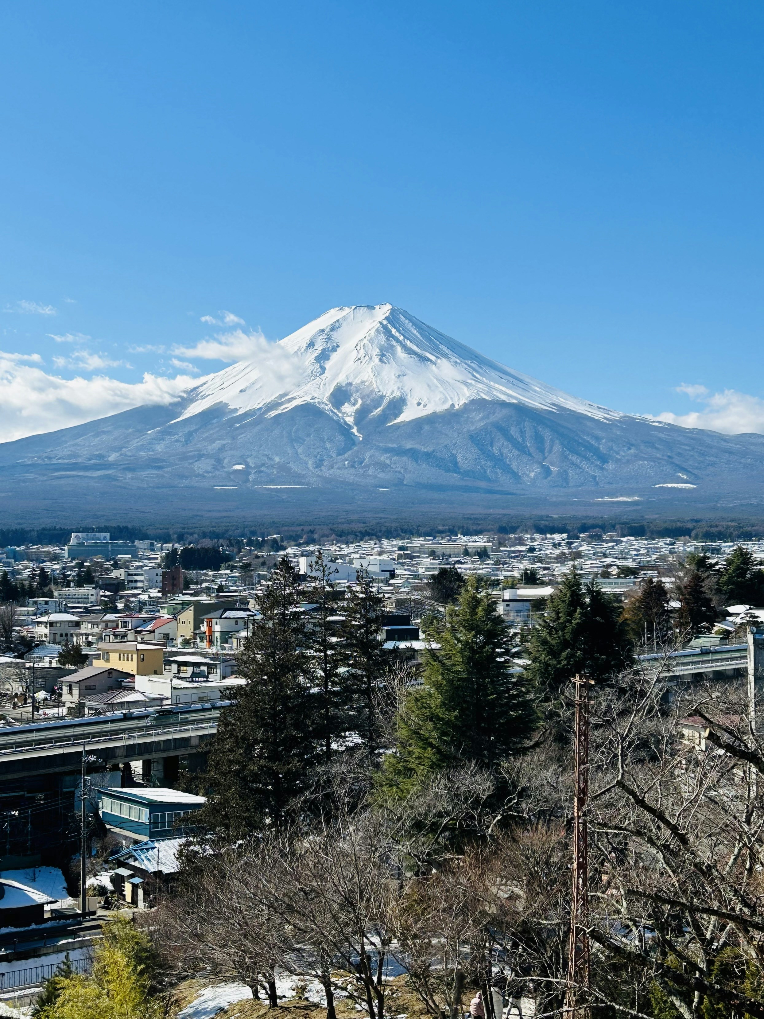 A view of a city with a mountain in the background