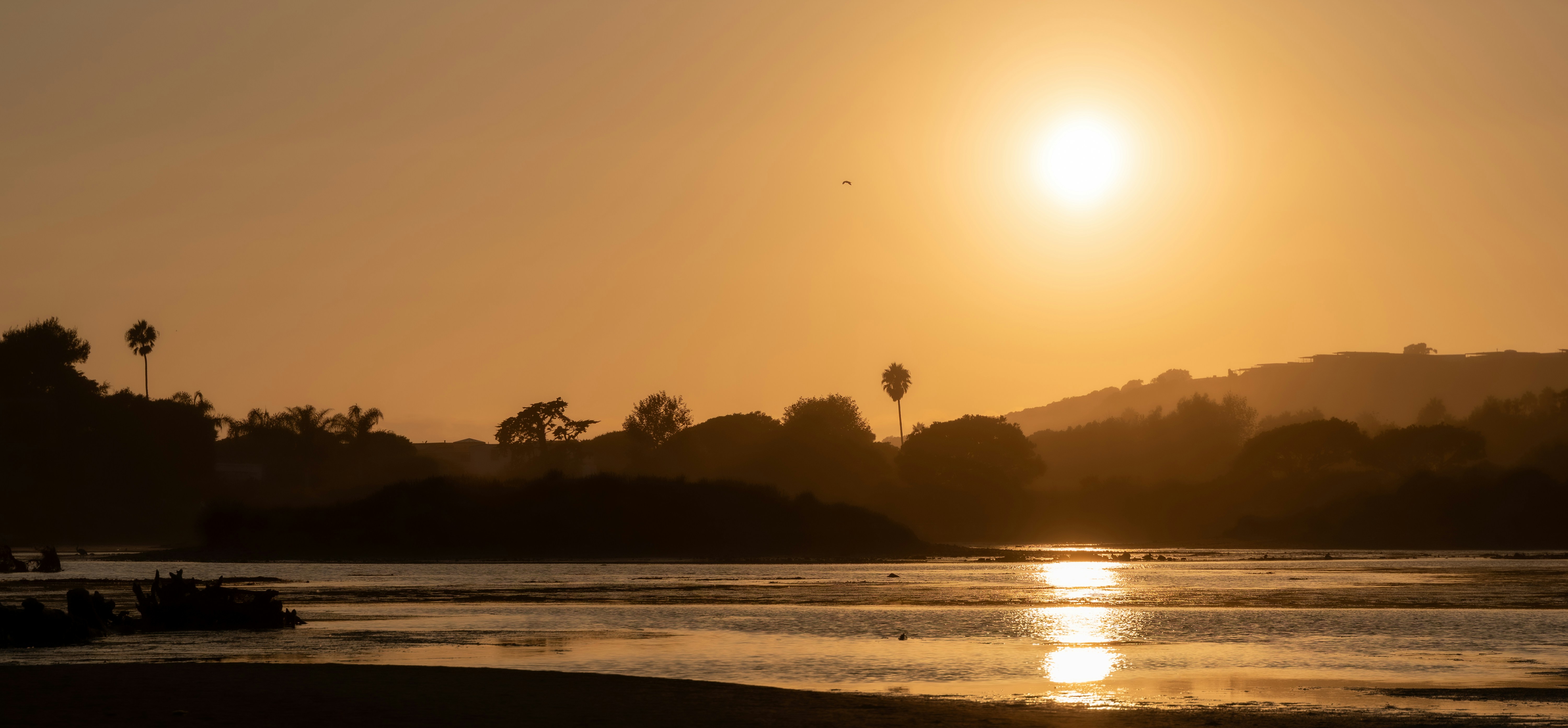 Photo by patrickcampanale