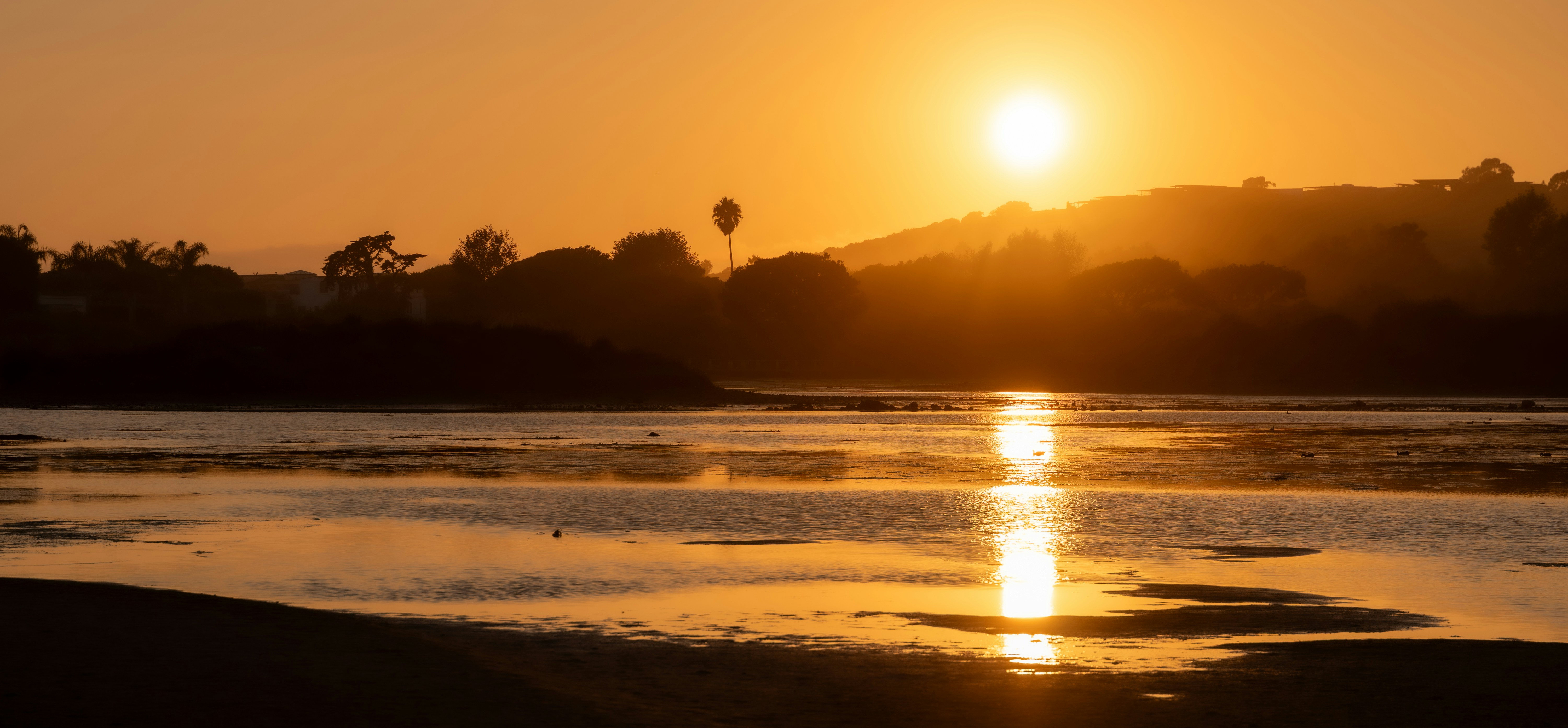 Photo by patrickcampanale