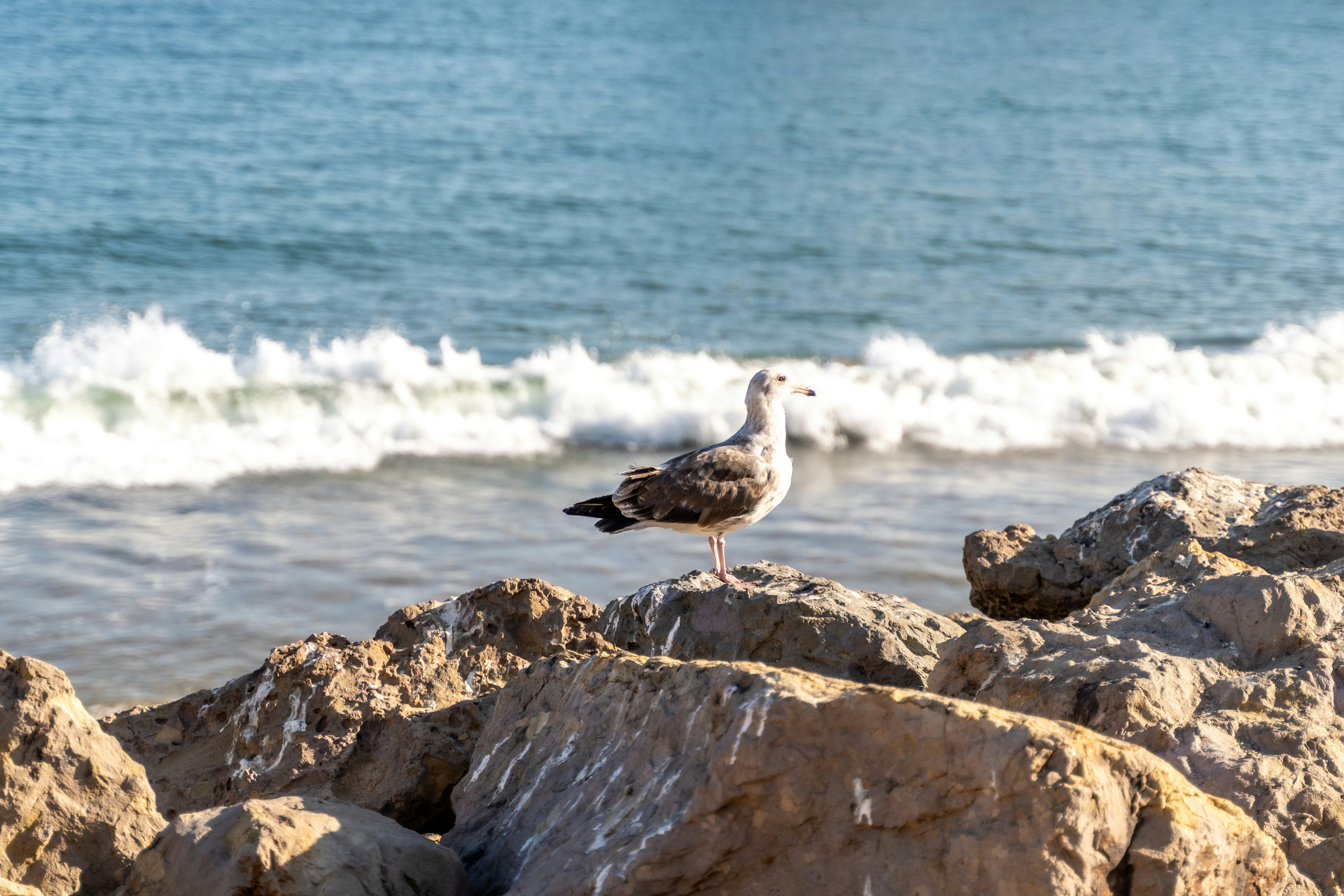 Photo by patrickcampanale