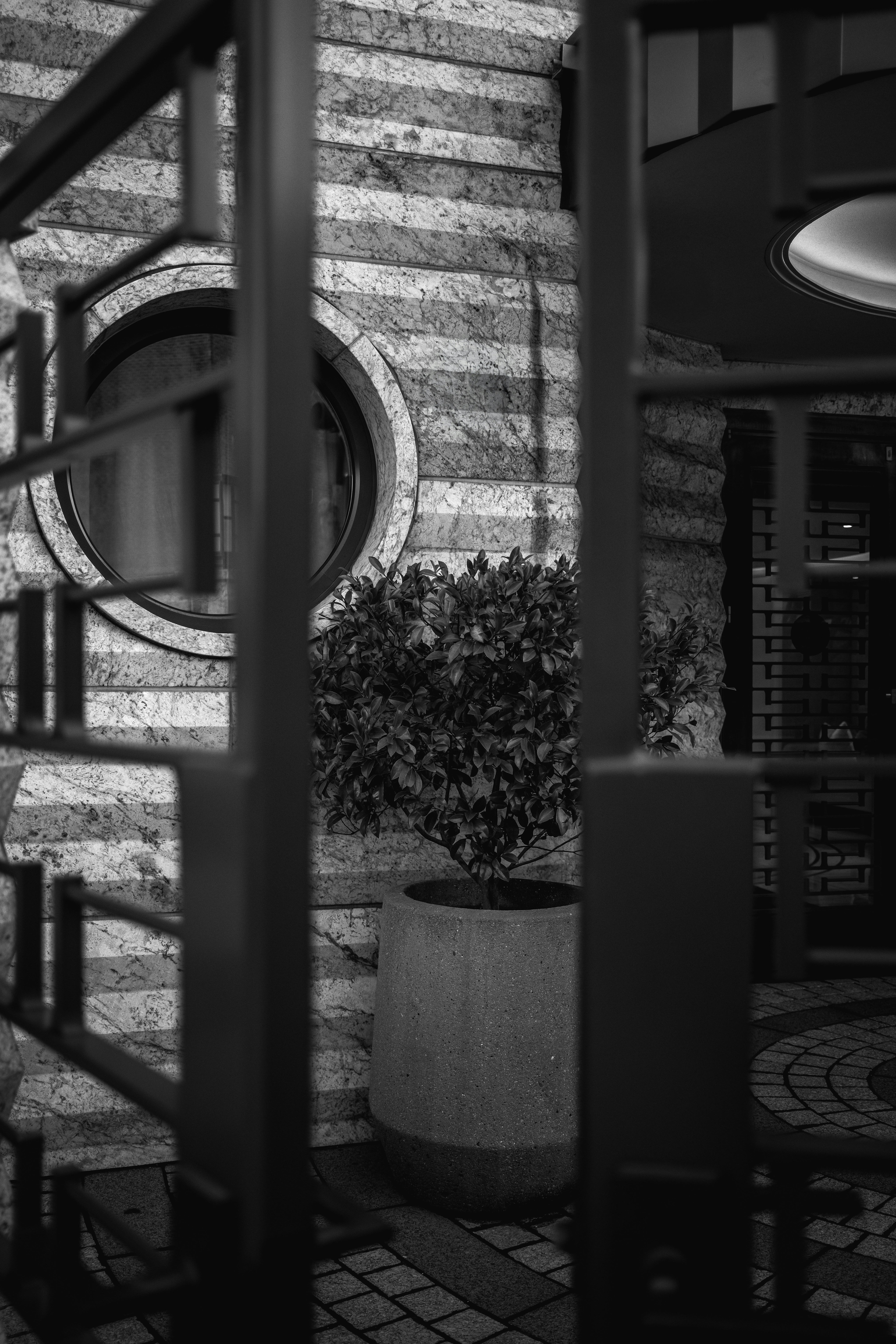 Photo by kalaniparker