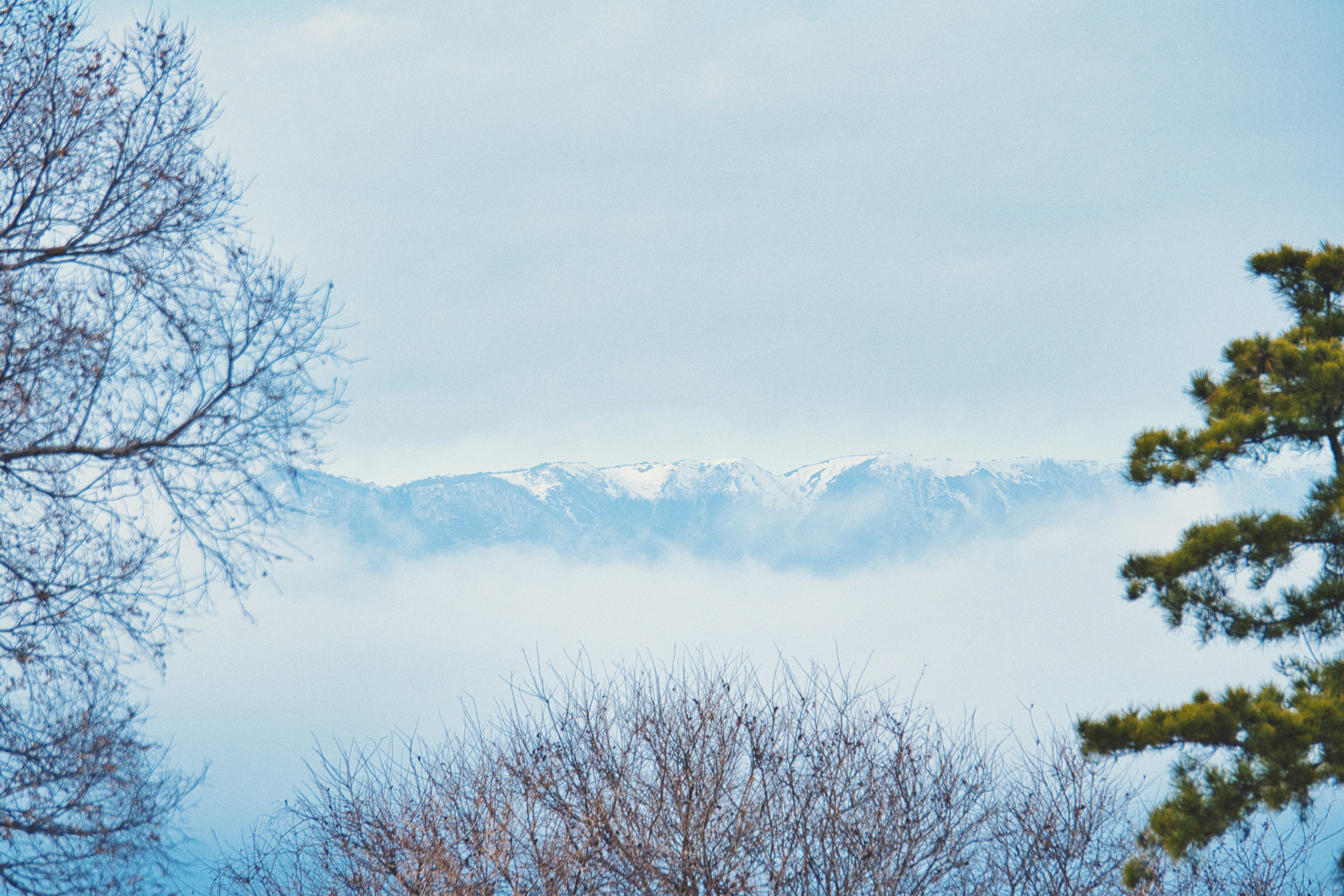 Photo by srtgraphy