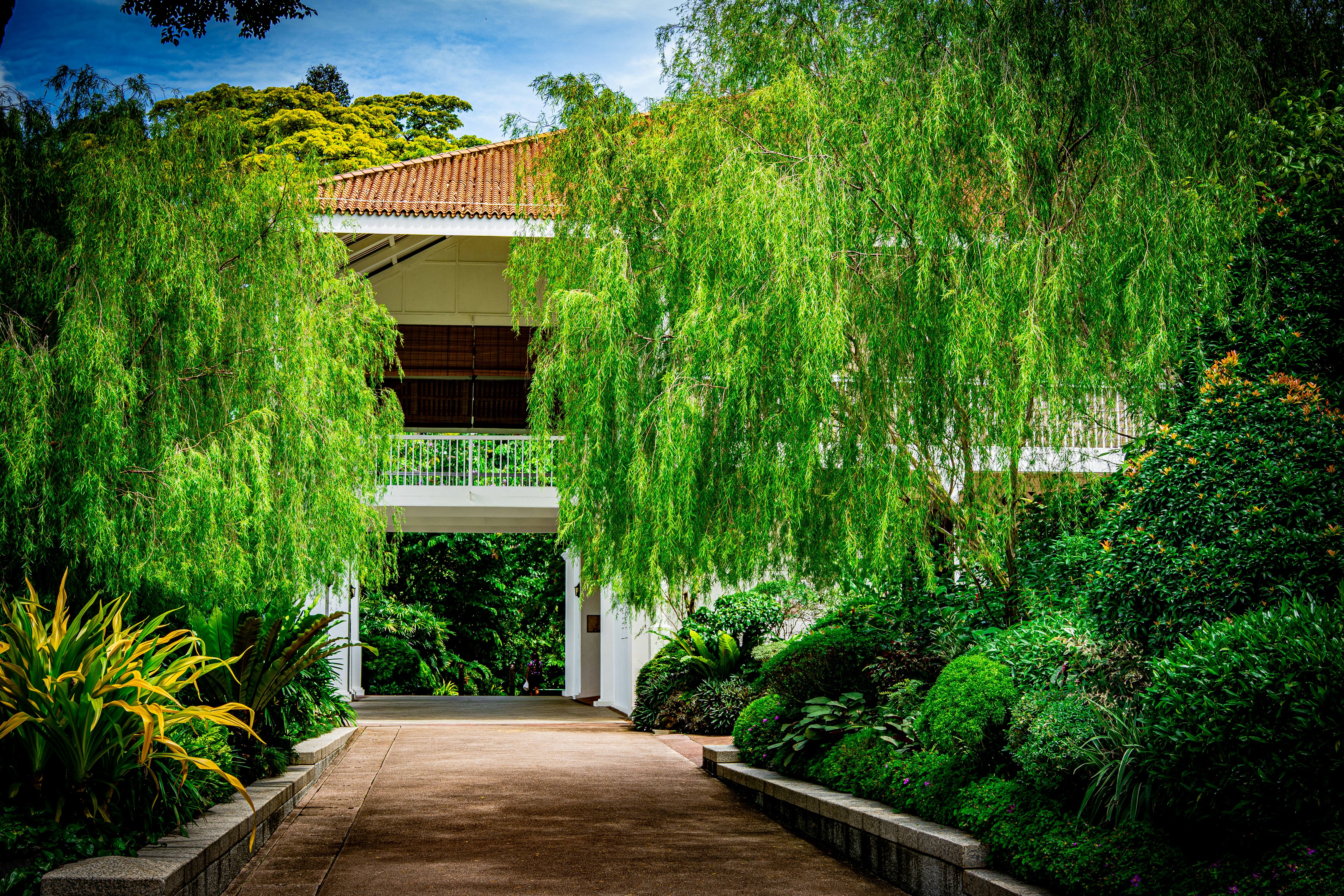 Photo by samtakespictures