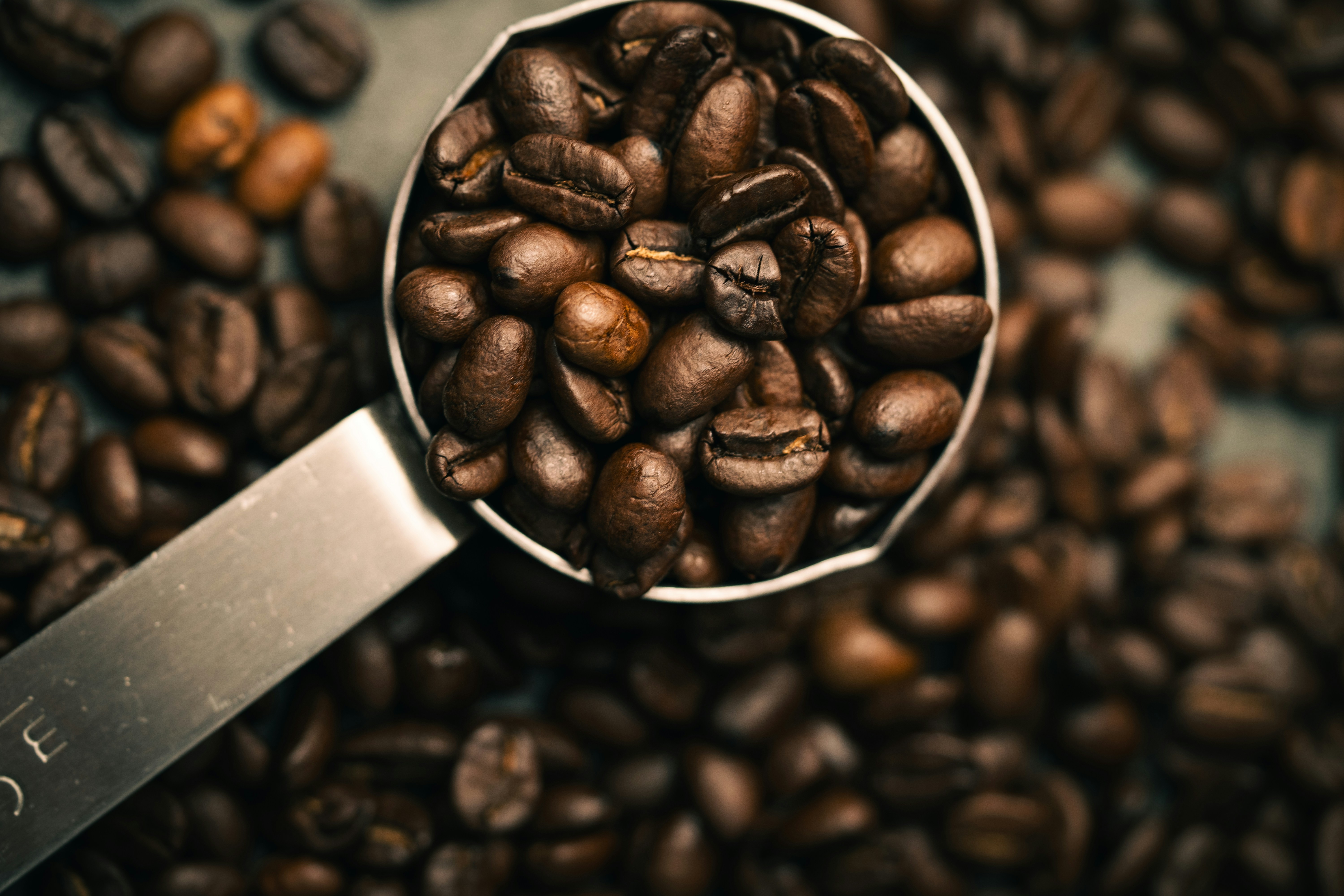 Photo by introspectivedsgn