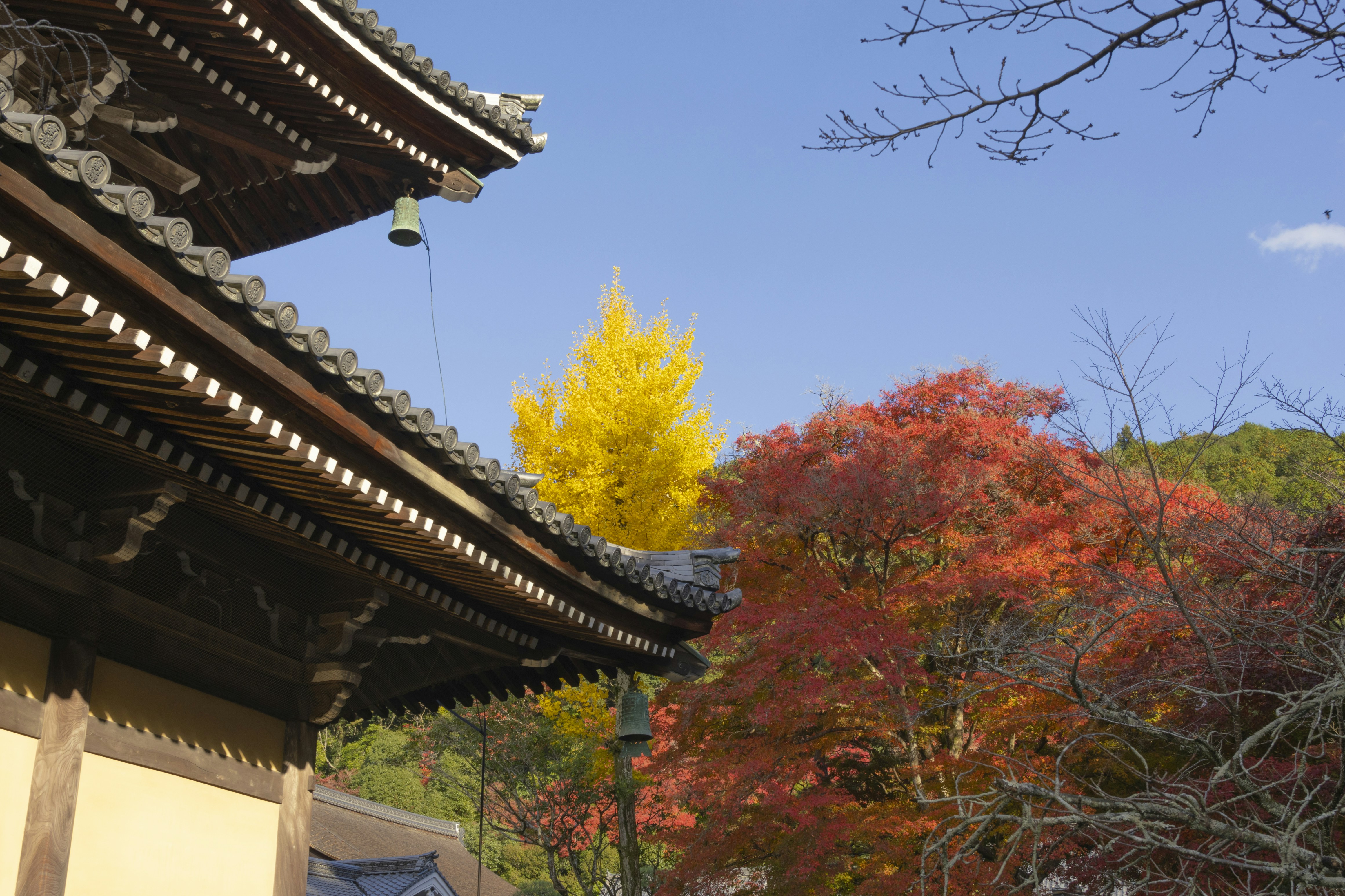 Photo by charlie1224