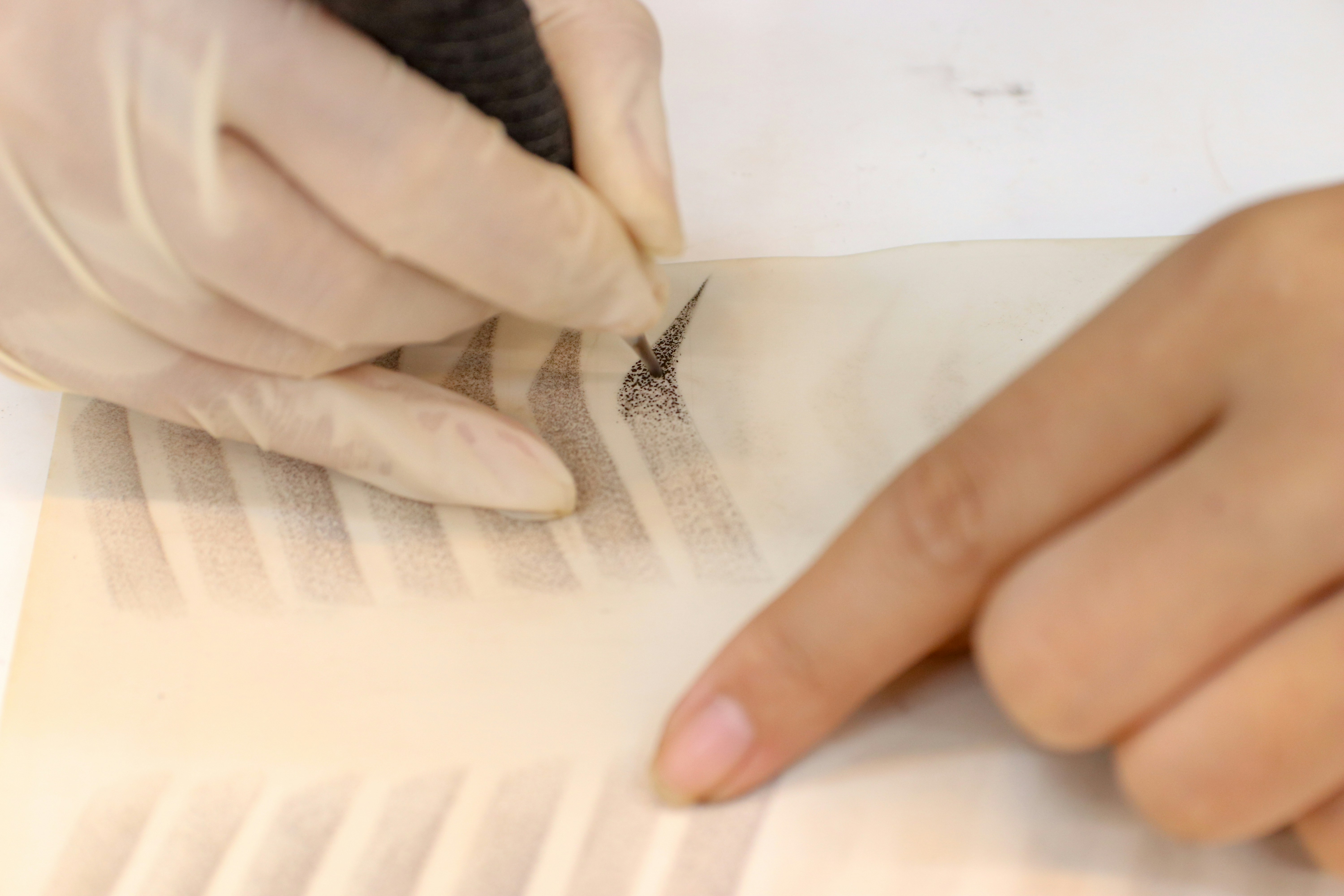 Henna Sopracciglia con Mappatura