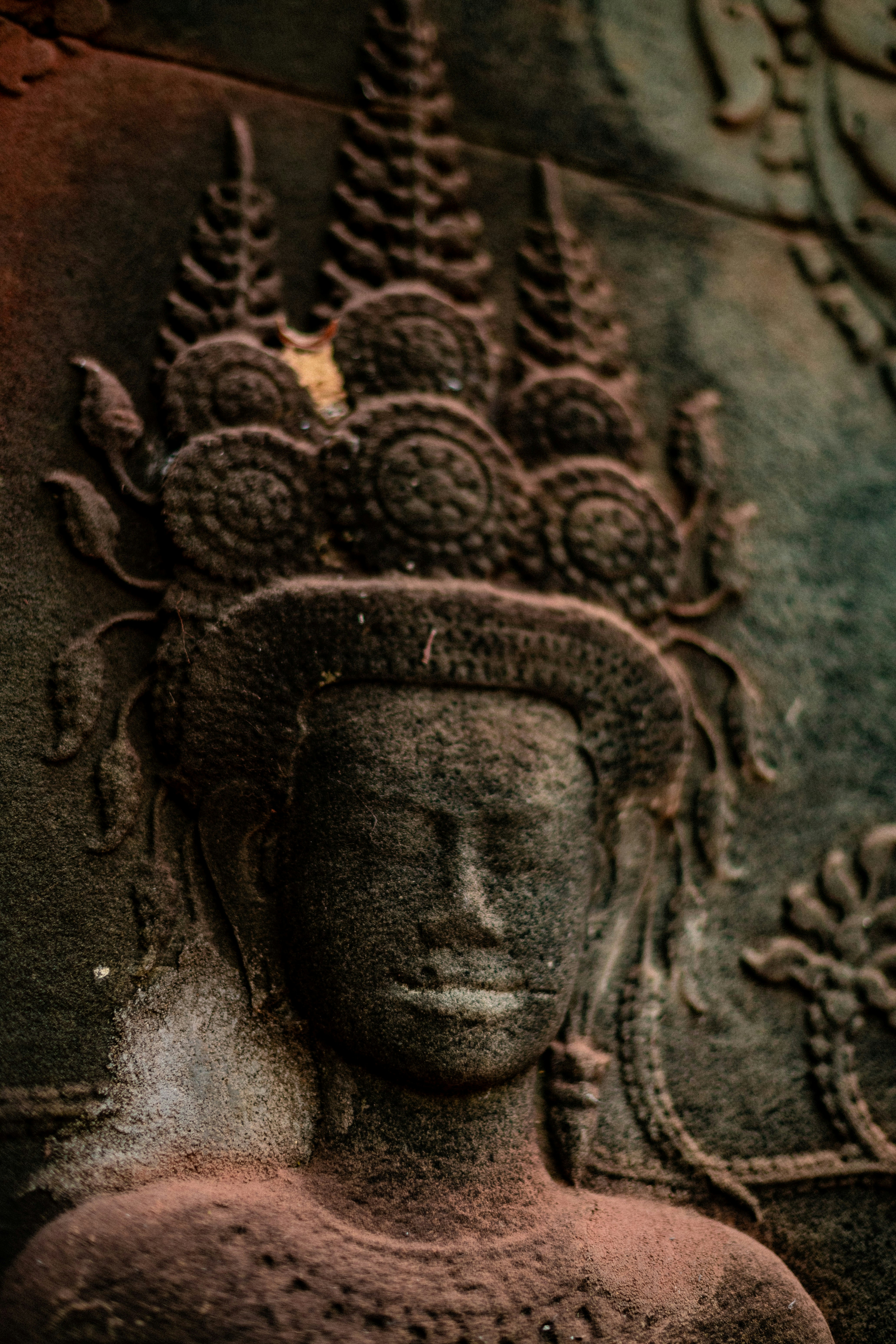 Photo by andriusbudrikas