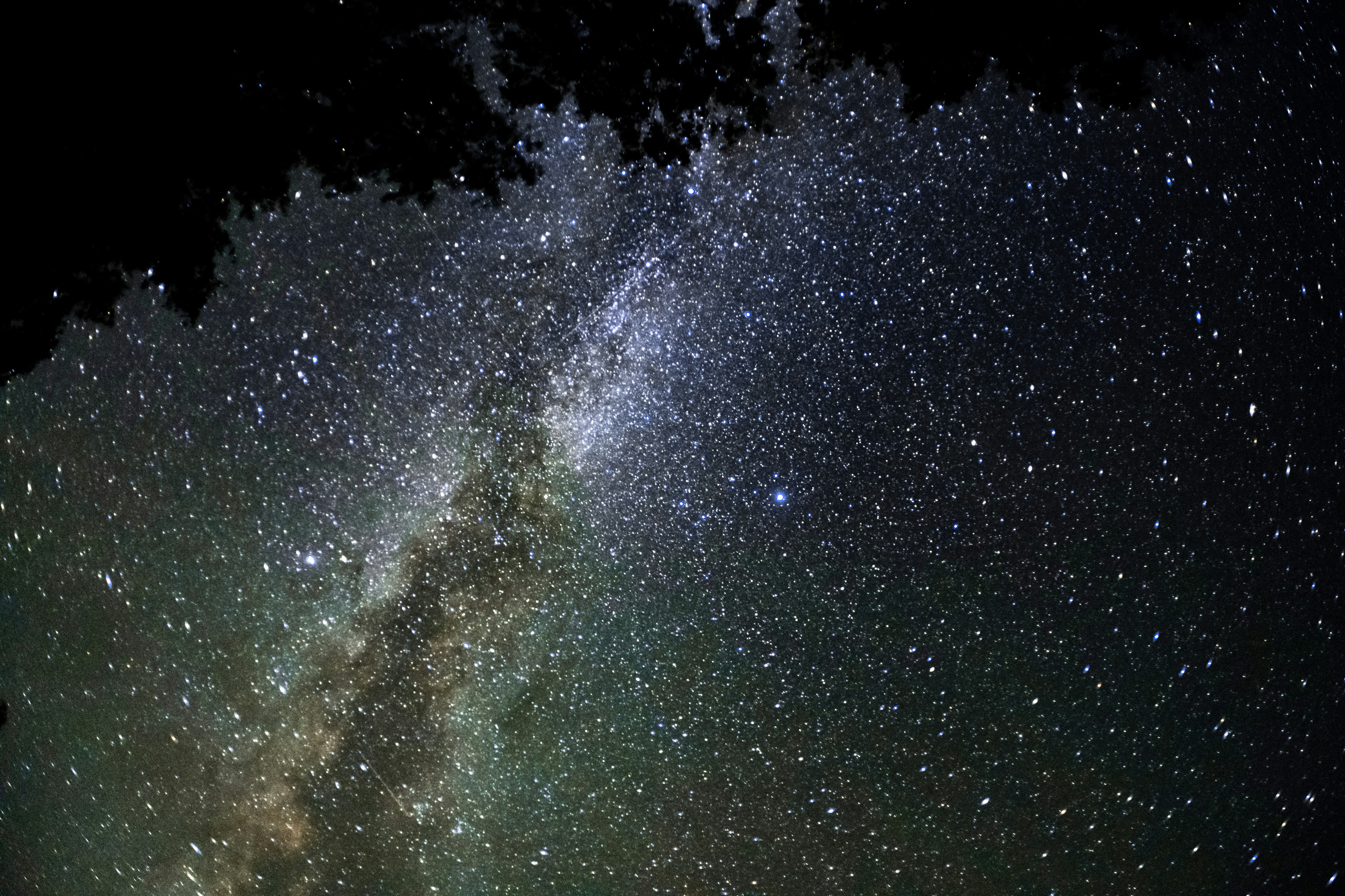 Photo by andriusbudrikas