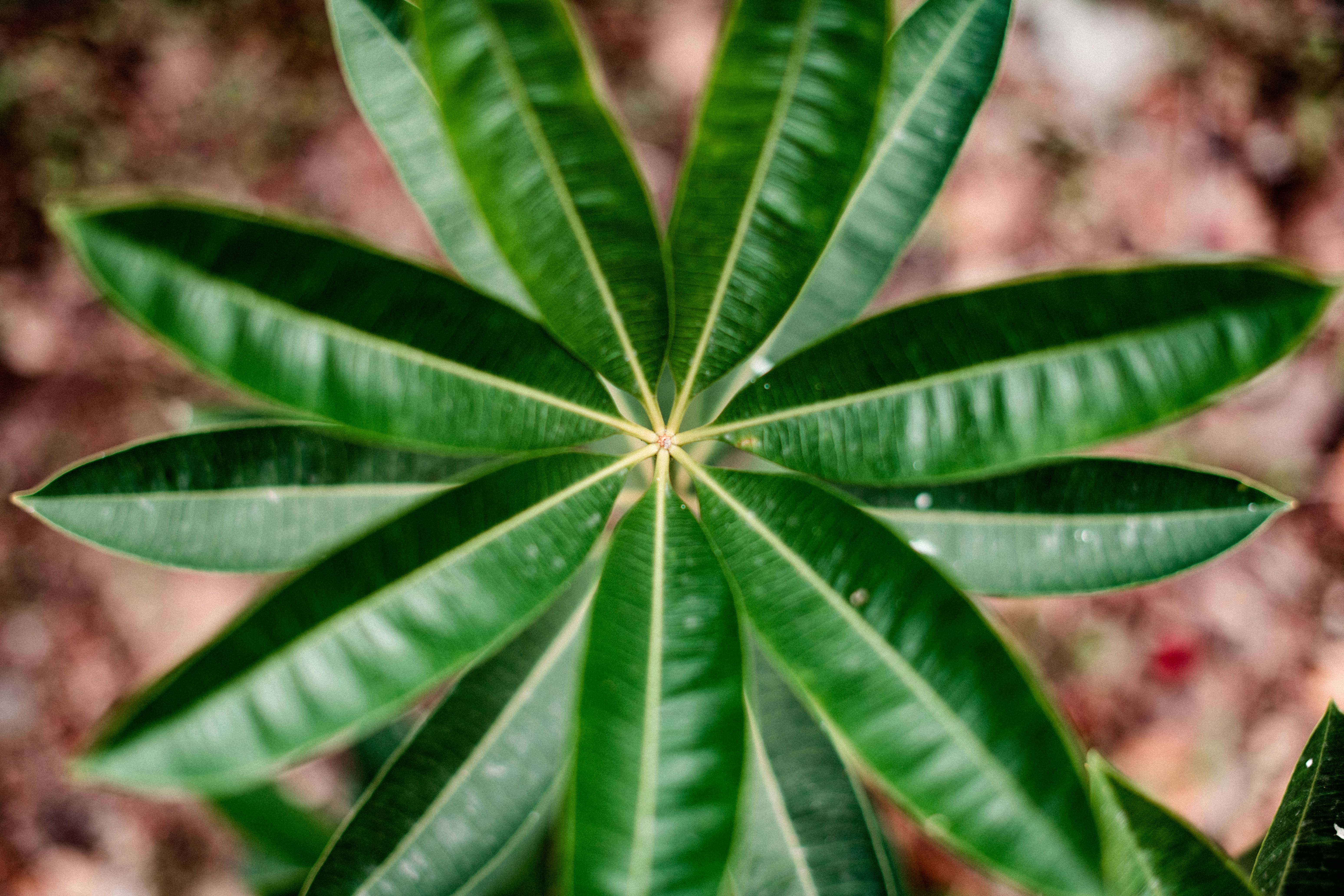 Photo by andriusbudrikas