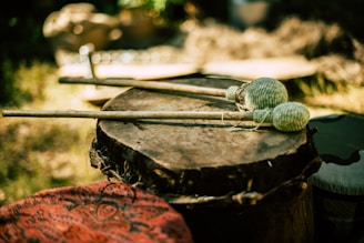 A close up of a musical instrument on a table
