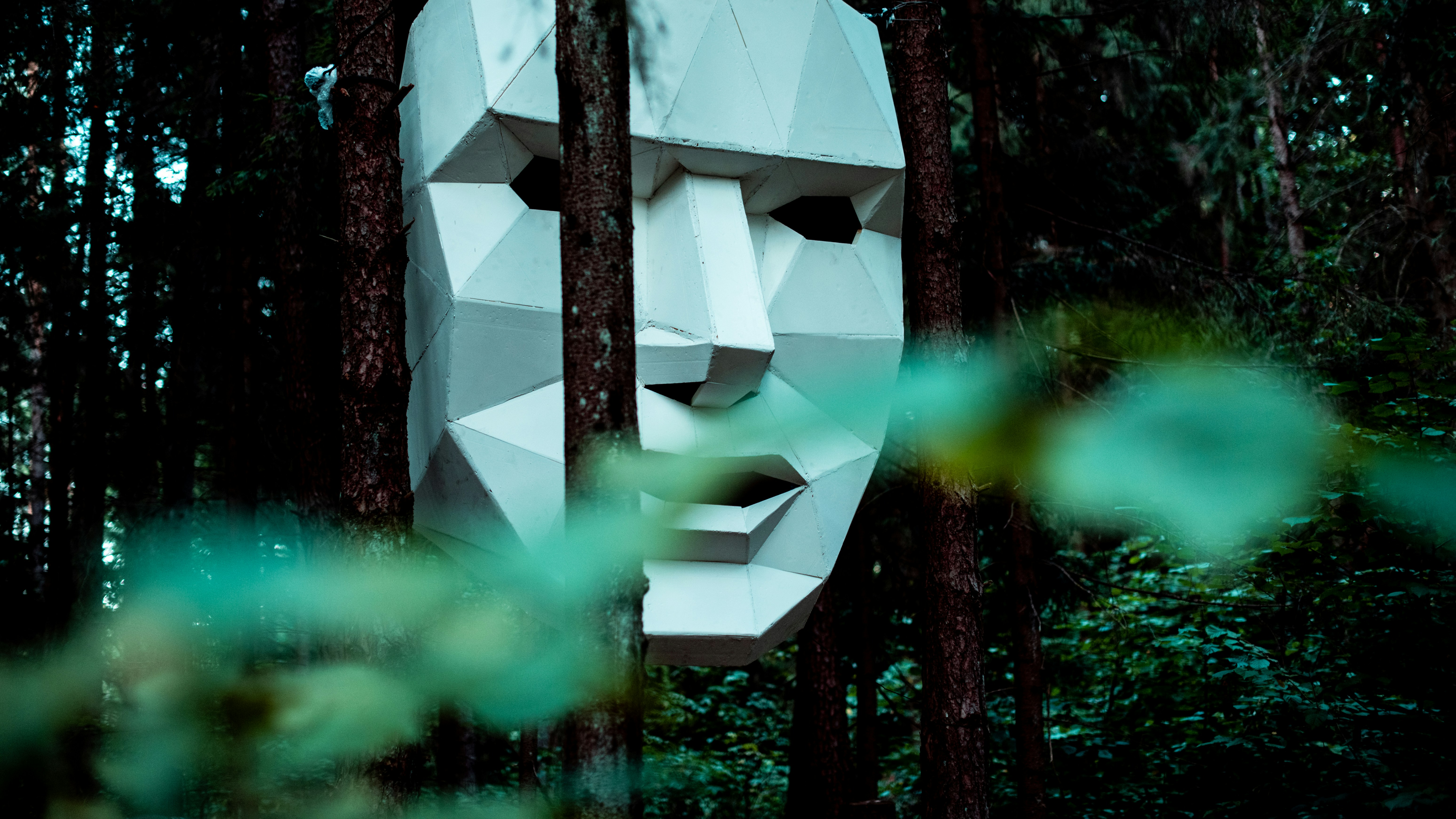 A sculpture of a face in the middle of a forest