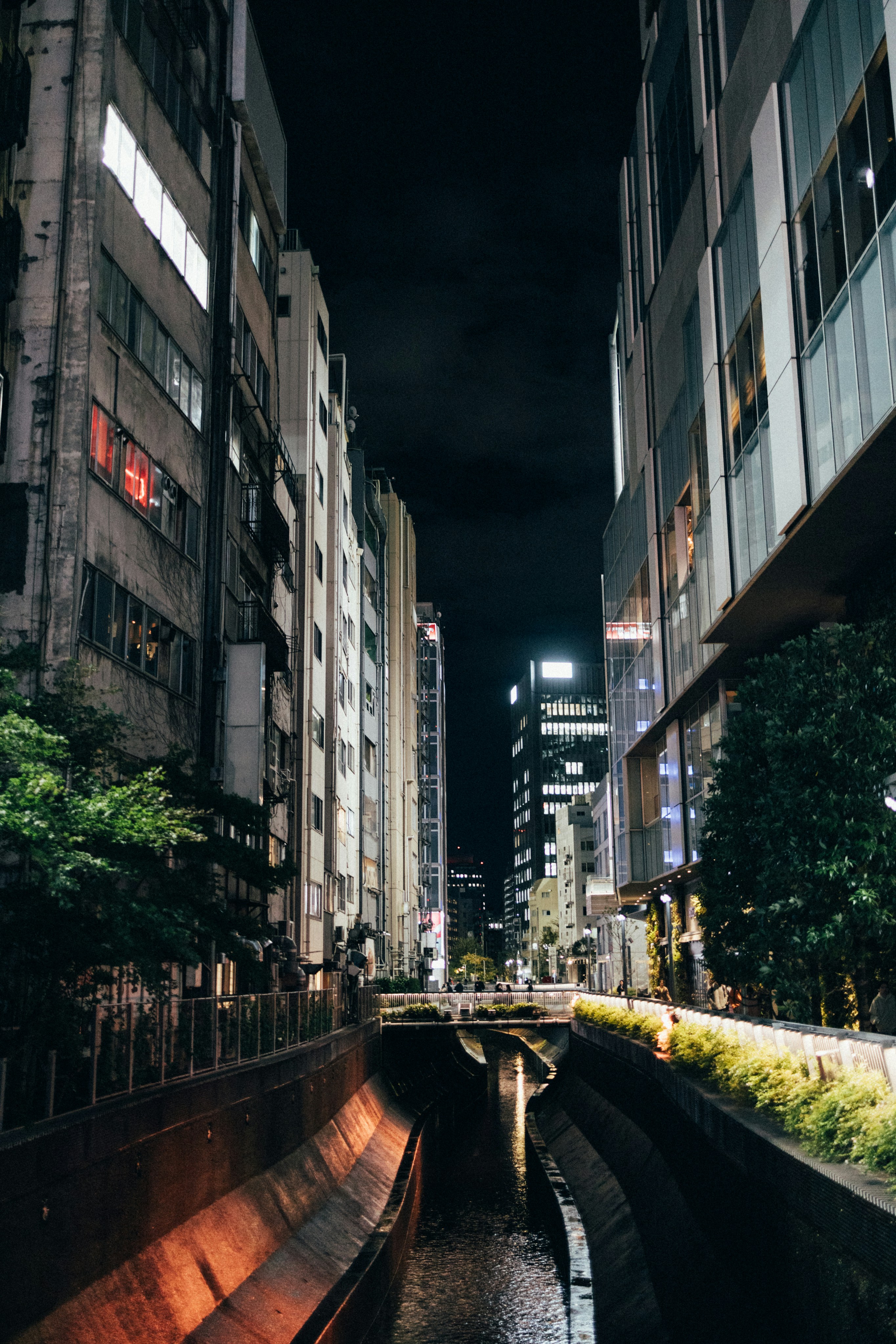 Photo by tsuyoshikozu