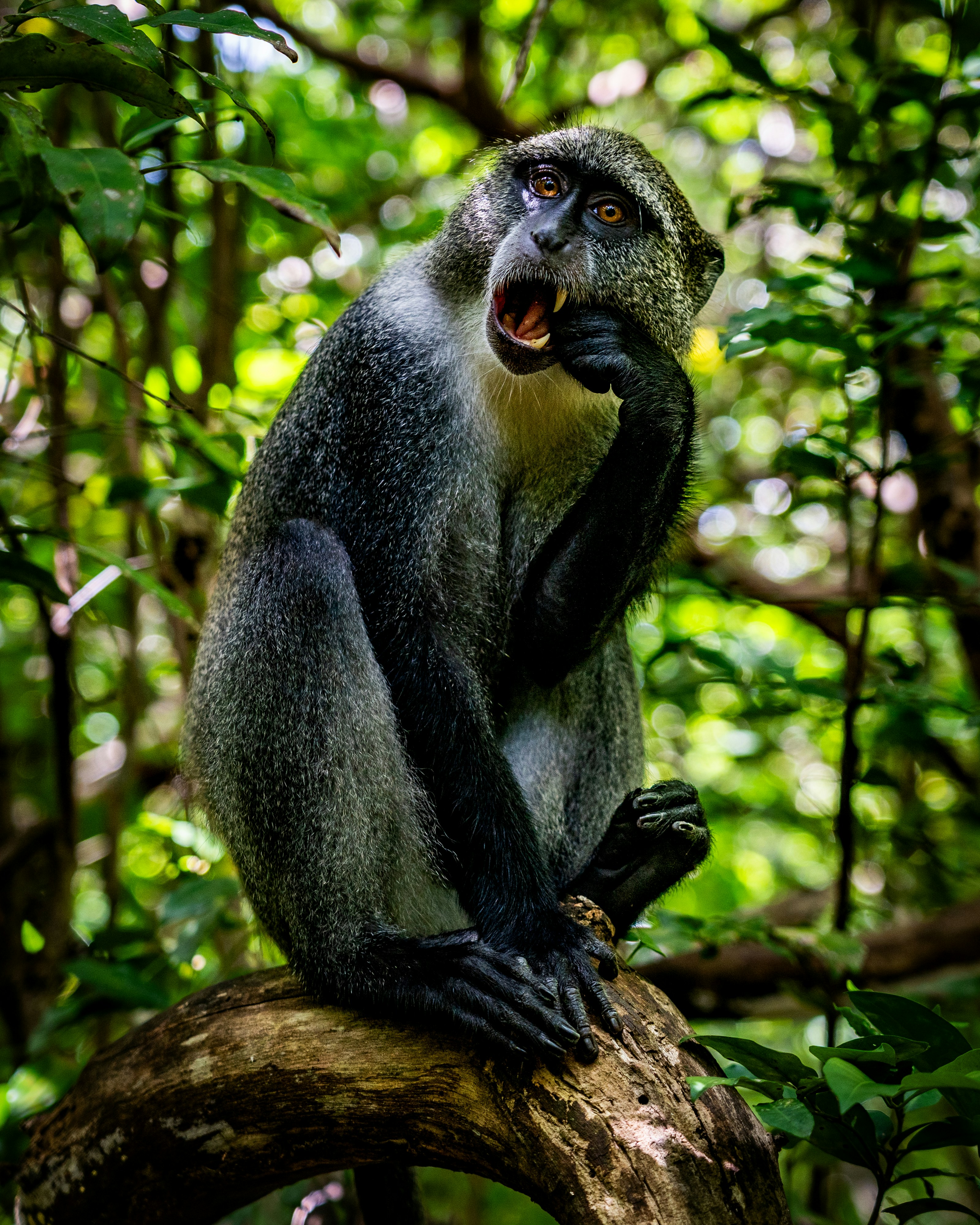 Photo by mmvisualstories