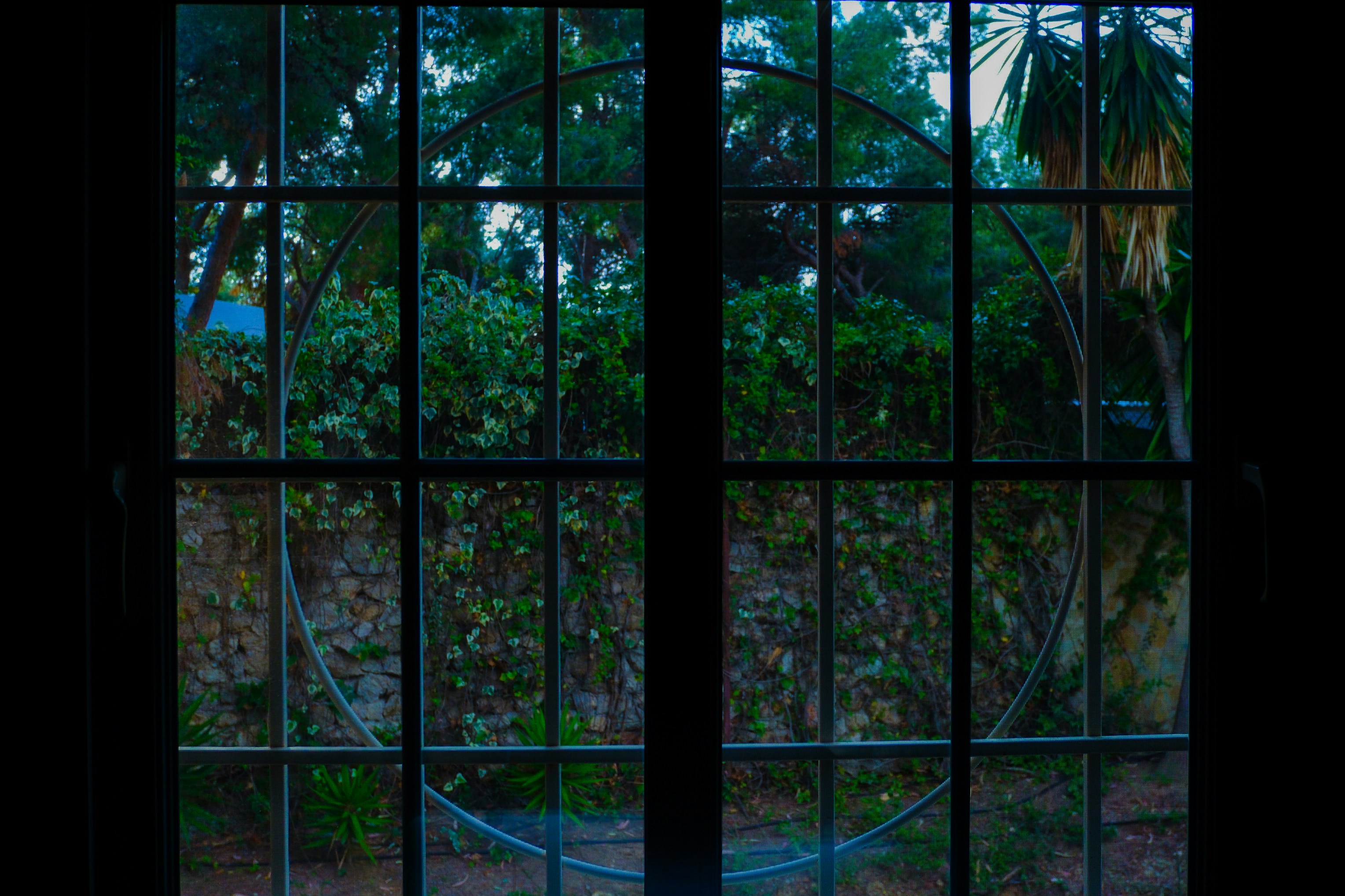 Photo by raulmermans