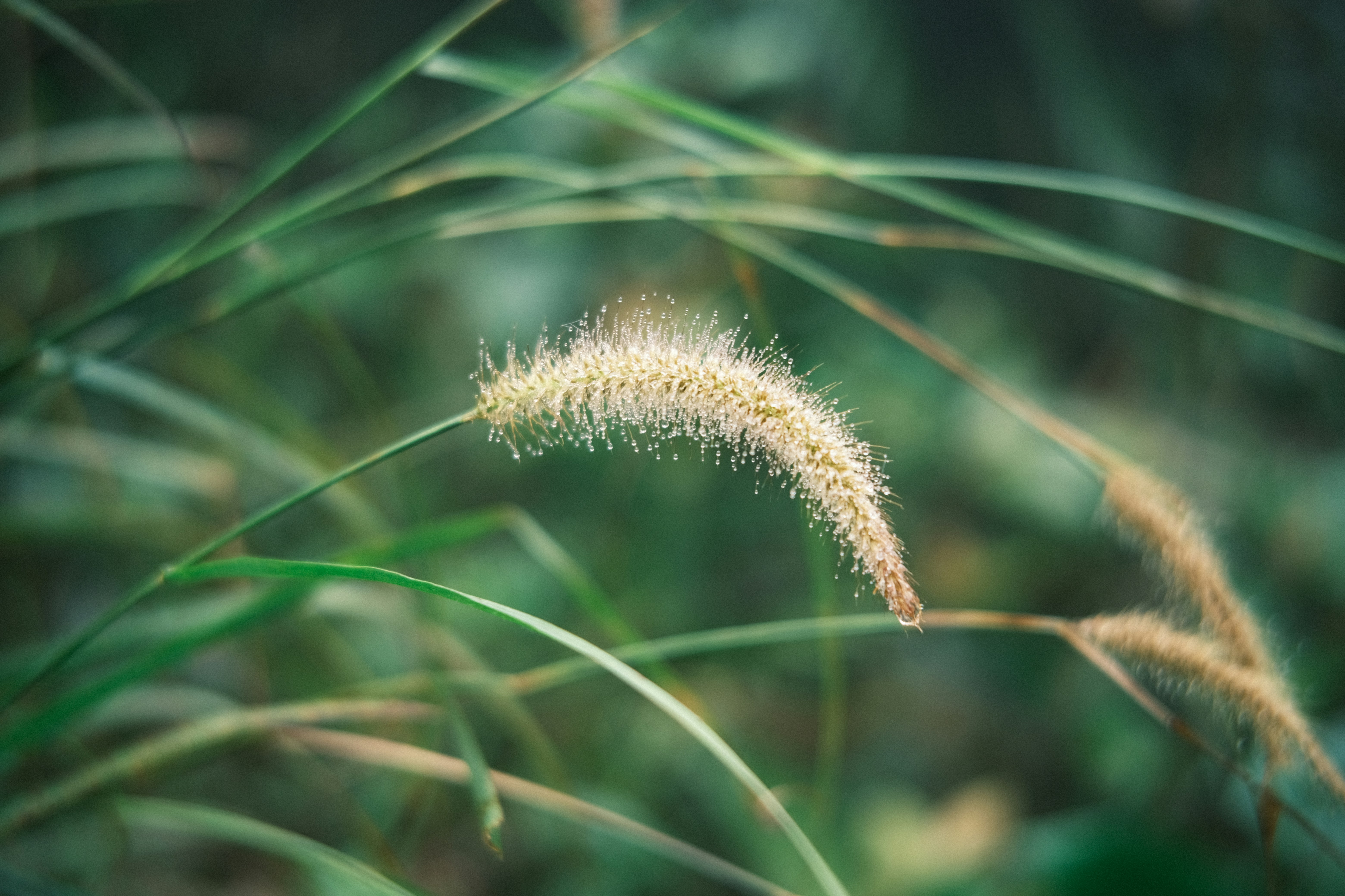 Photo by dvhoang2106