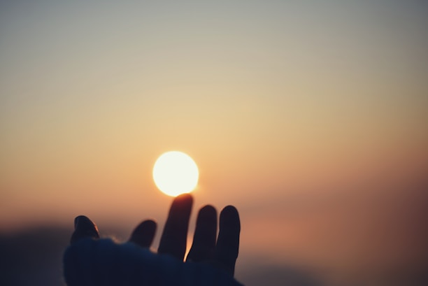 A person holding their hand up to the sun
