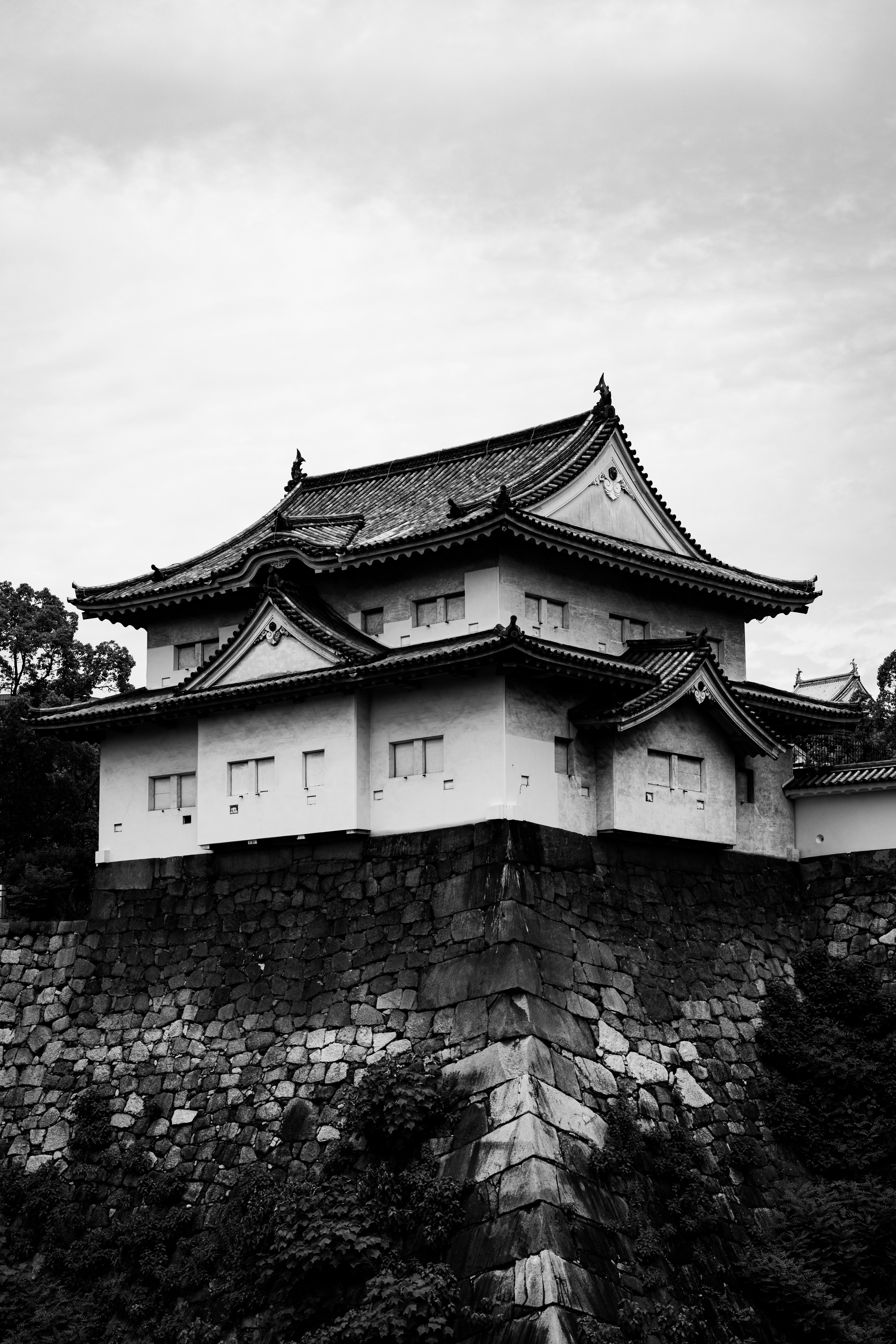 Photo by samtakespictures