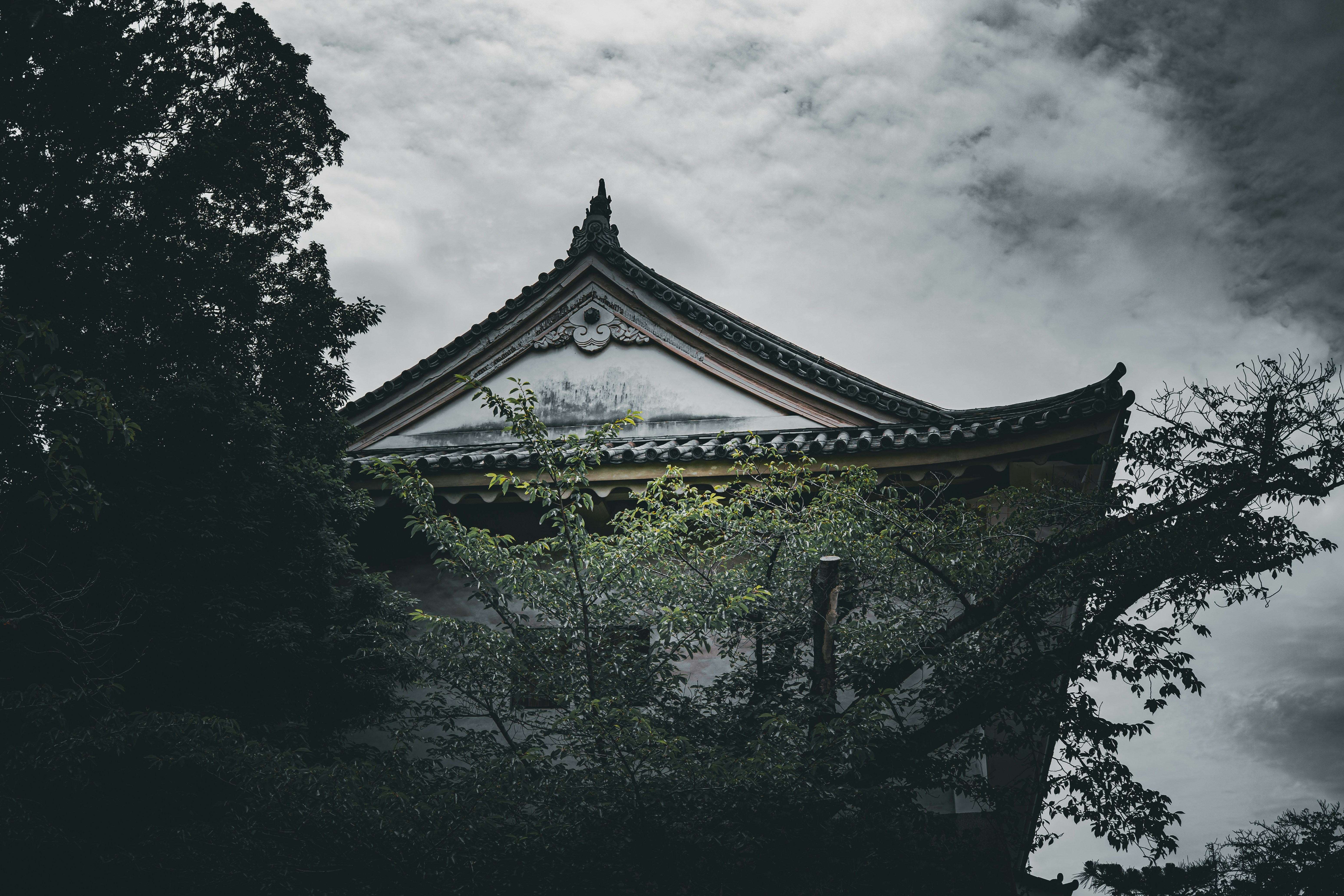 Photo by samtakespictures