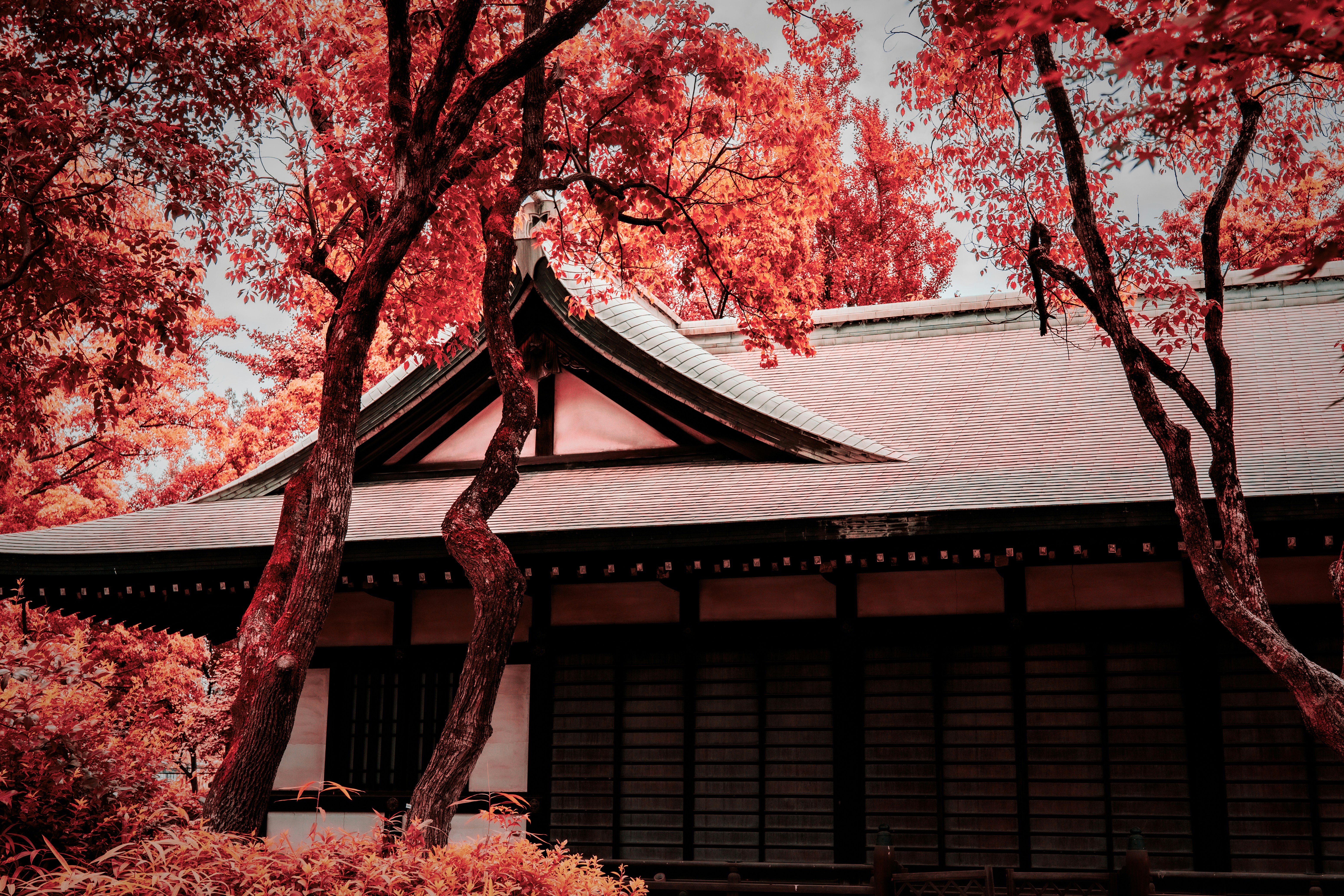 Photo by samtakespictures