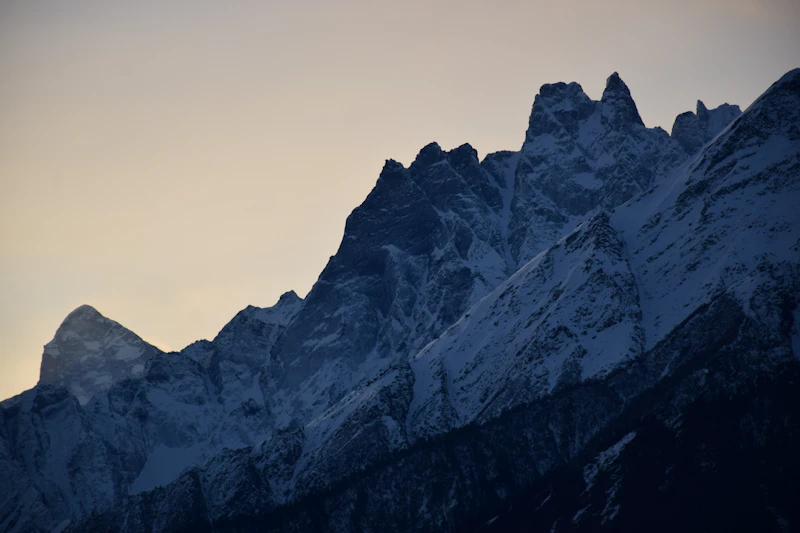 Bird in flight over an alpine landscape
