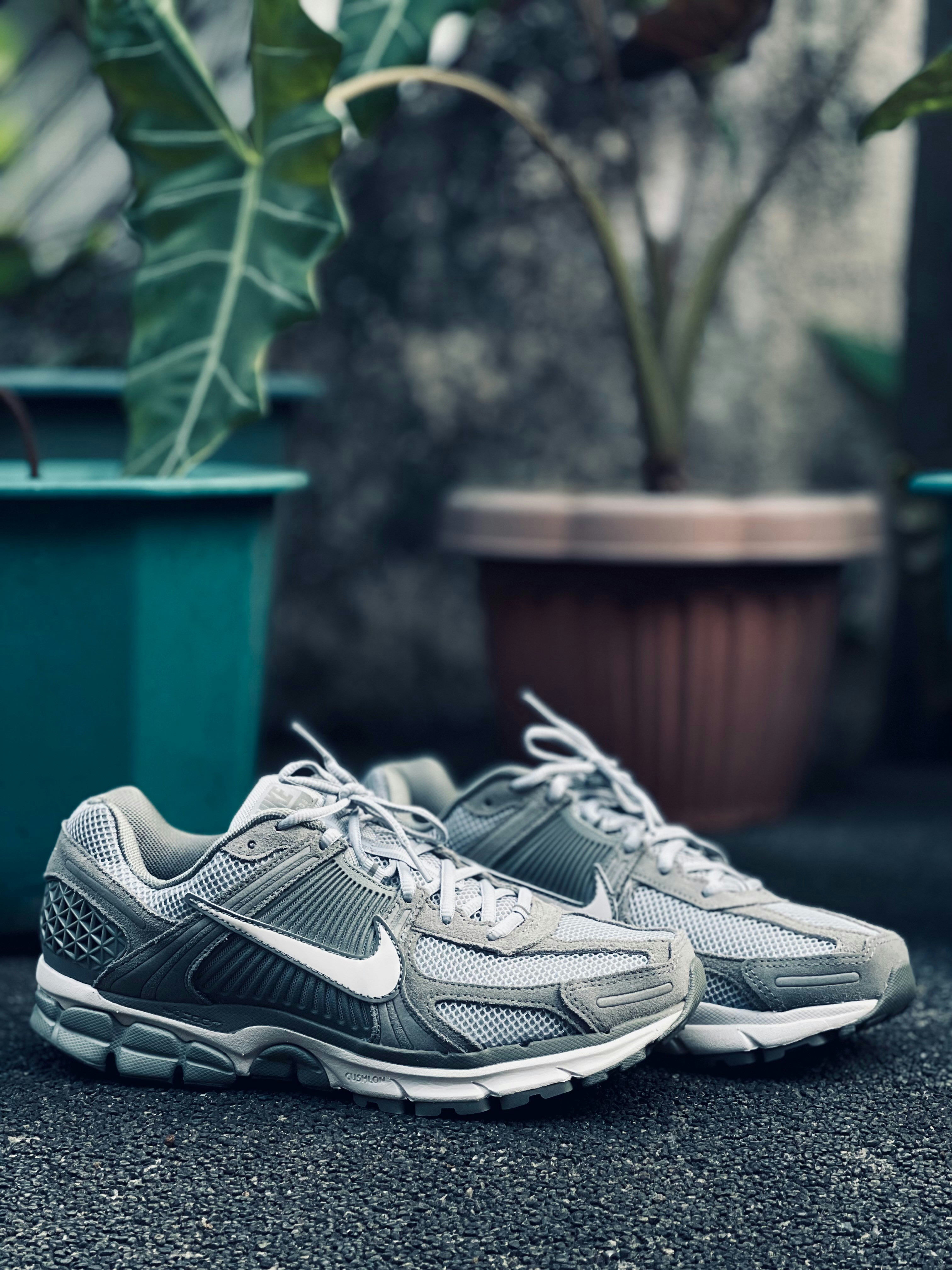 Ein Paar Schuhe sitzen auf dem Boden neben einer Topfpflanze