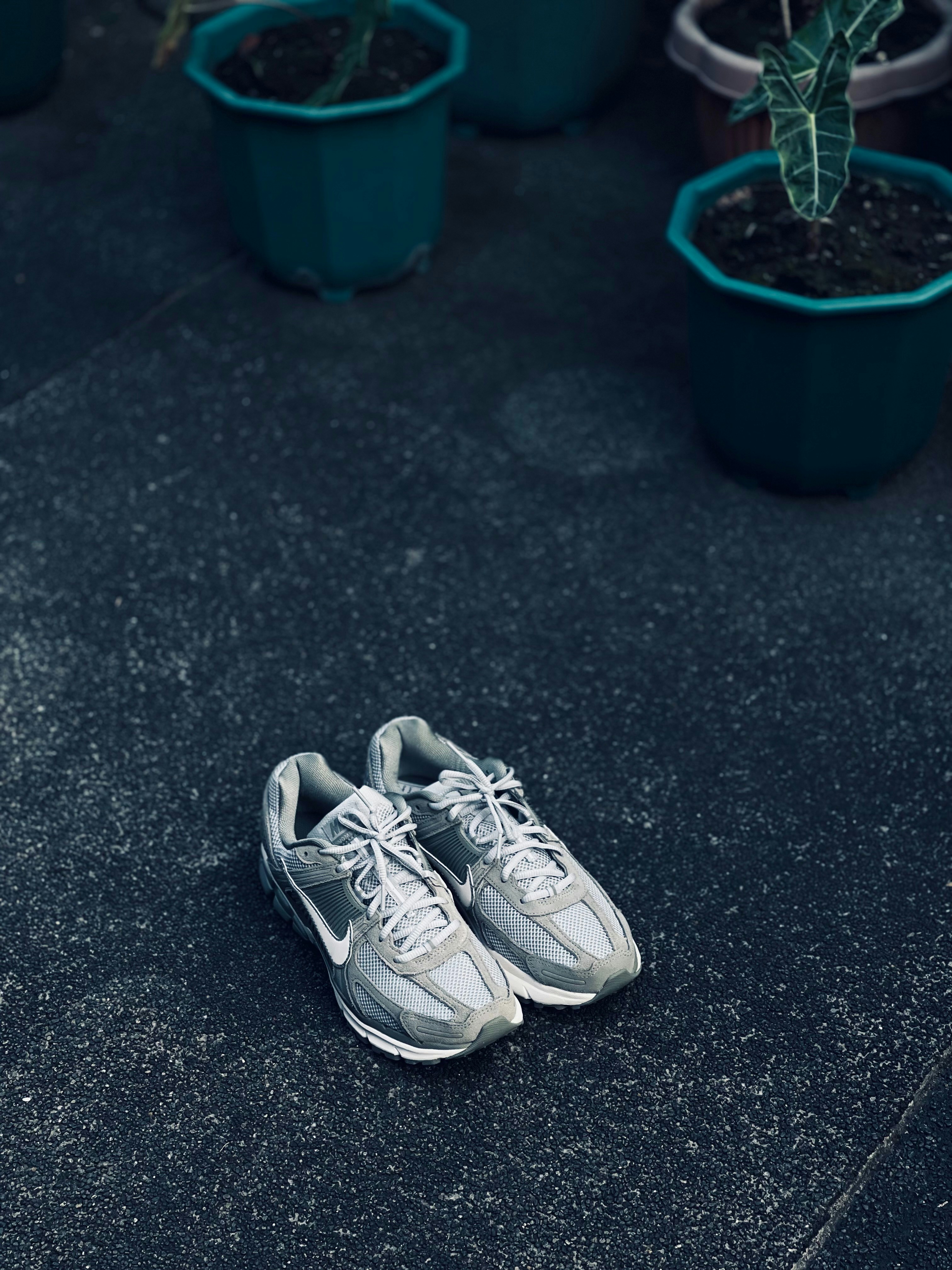 Ein Paar Schuhe sitzen auf dem Boden neben Topfpflanzen