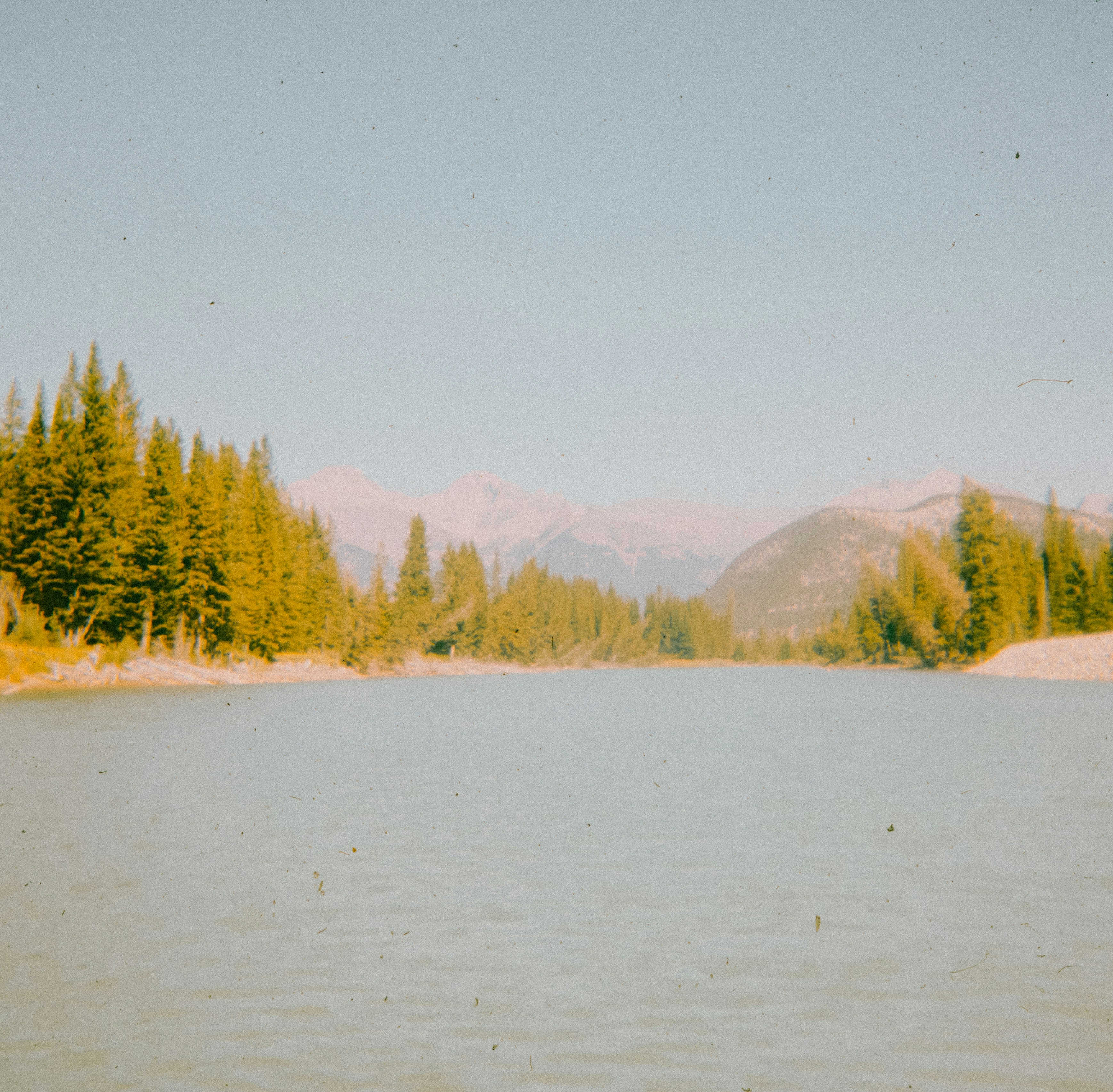 Photo by anniespratt