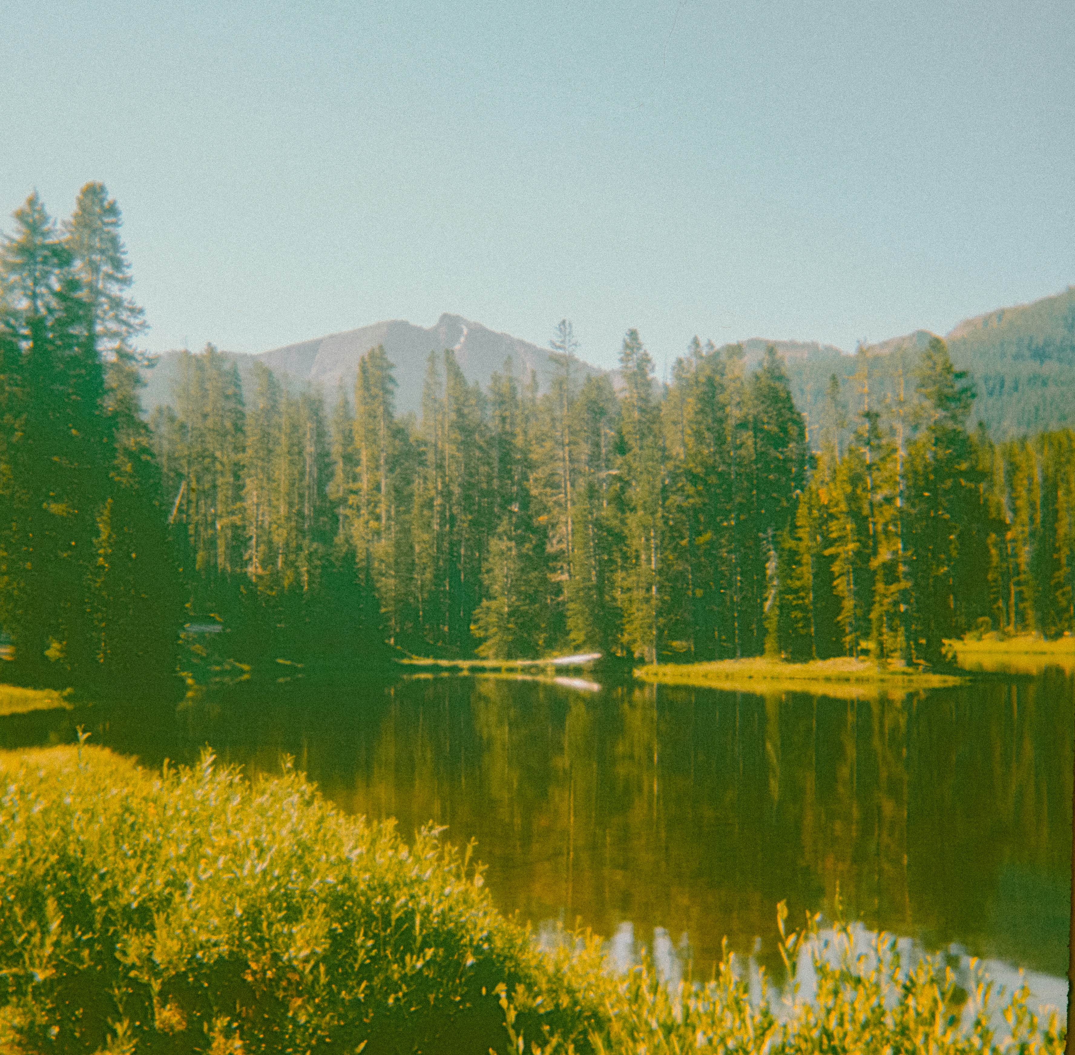 Photo by anniespratt