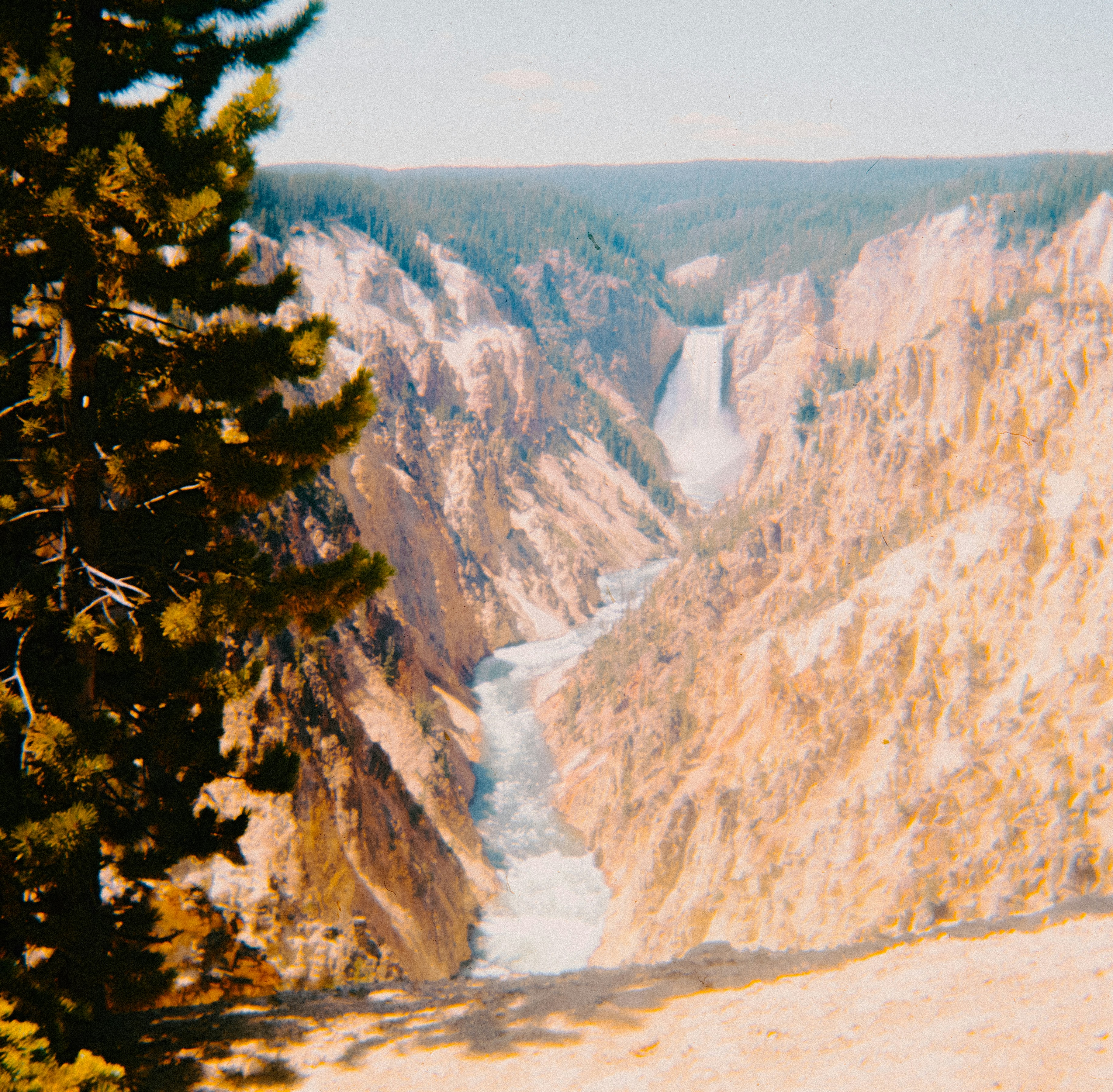 Photo by anniespratt