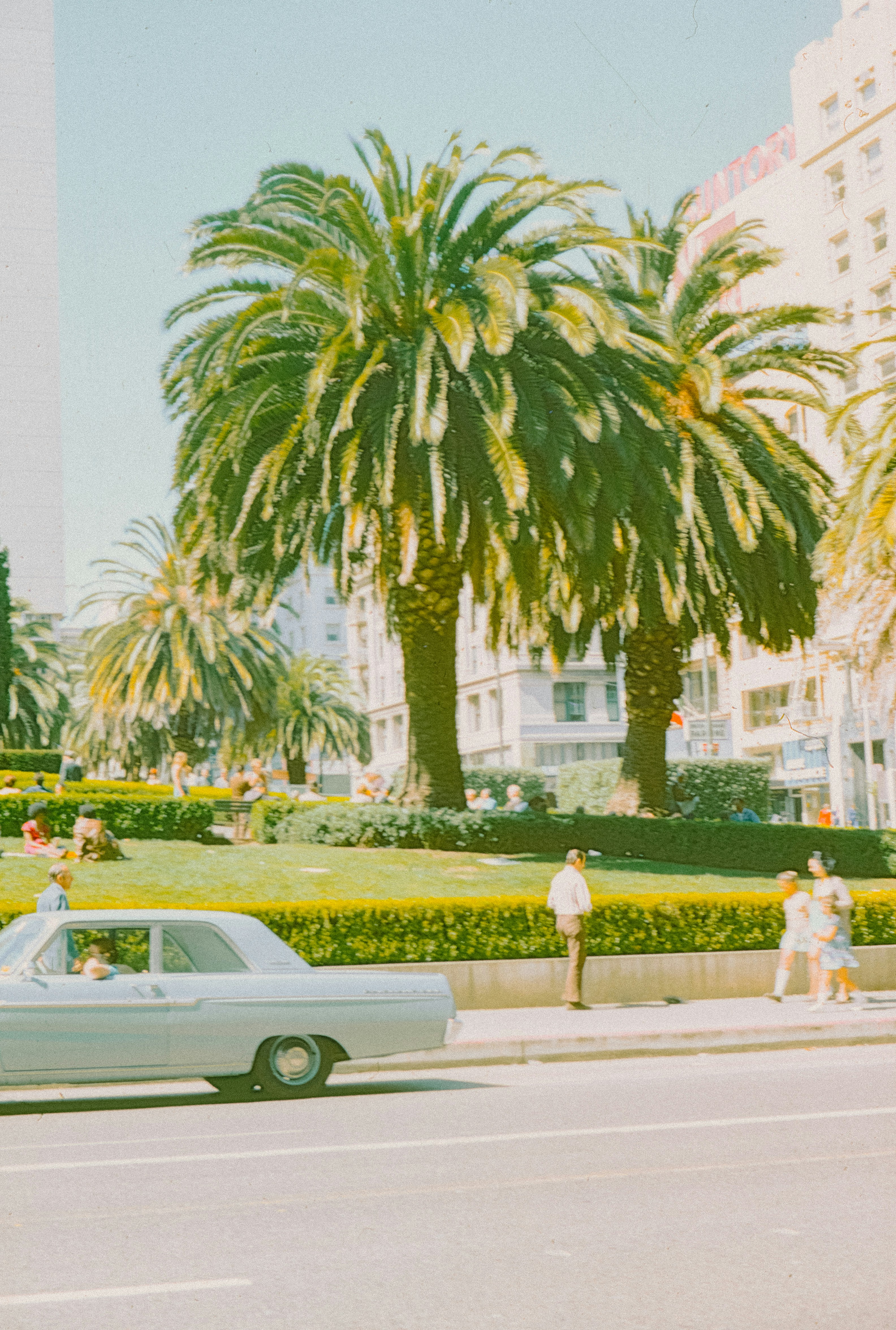 Photo by anniespratt