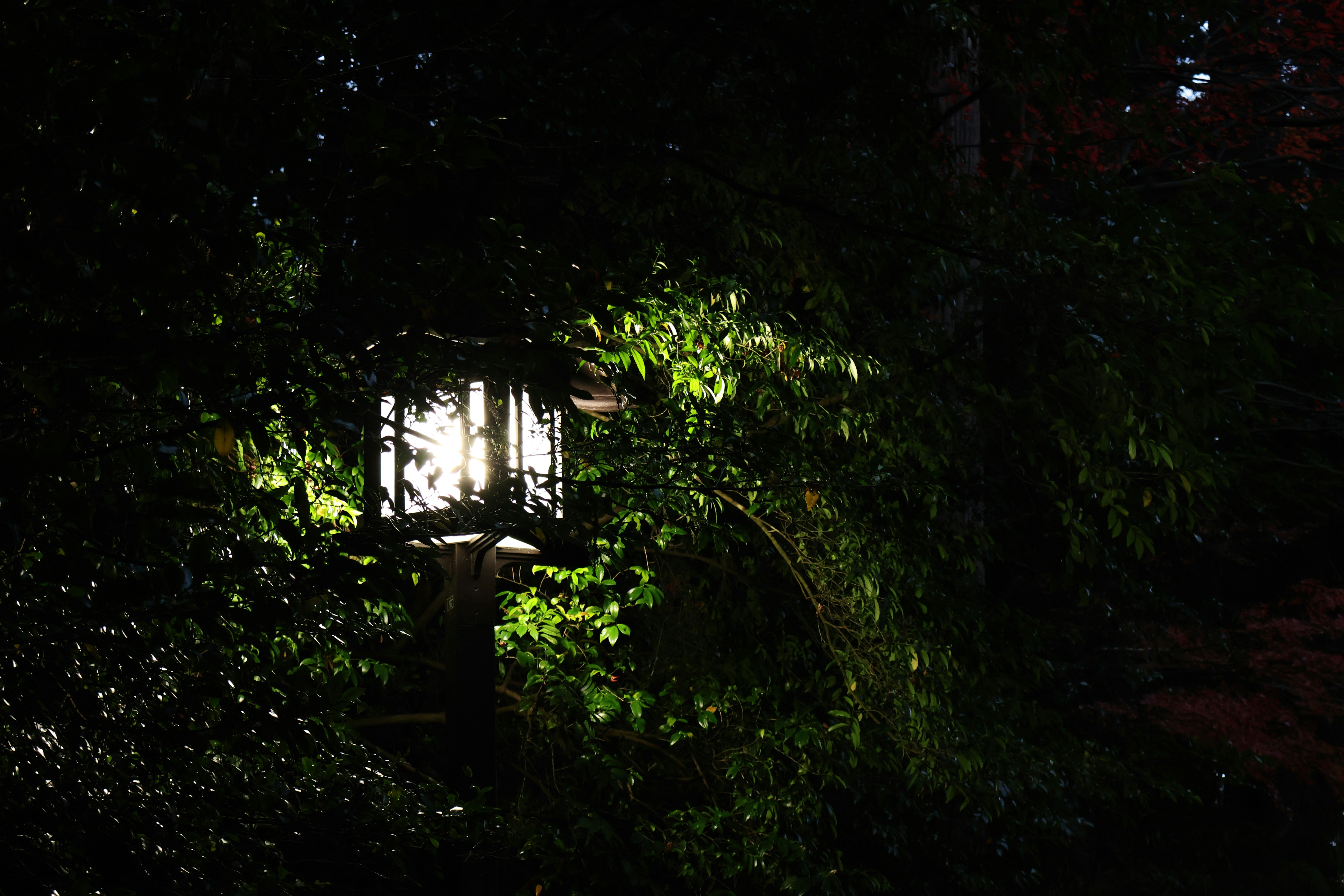 Photo by vickeekiwiwow