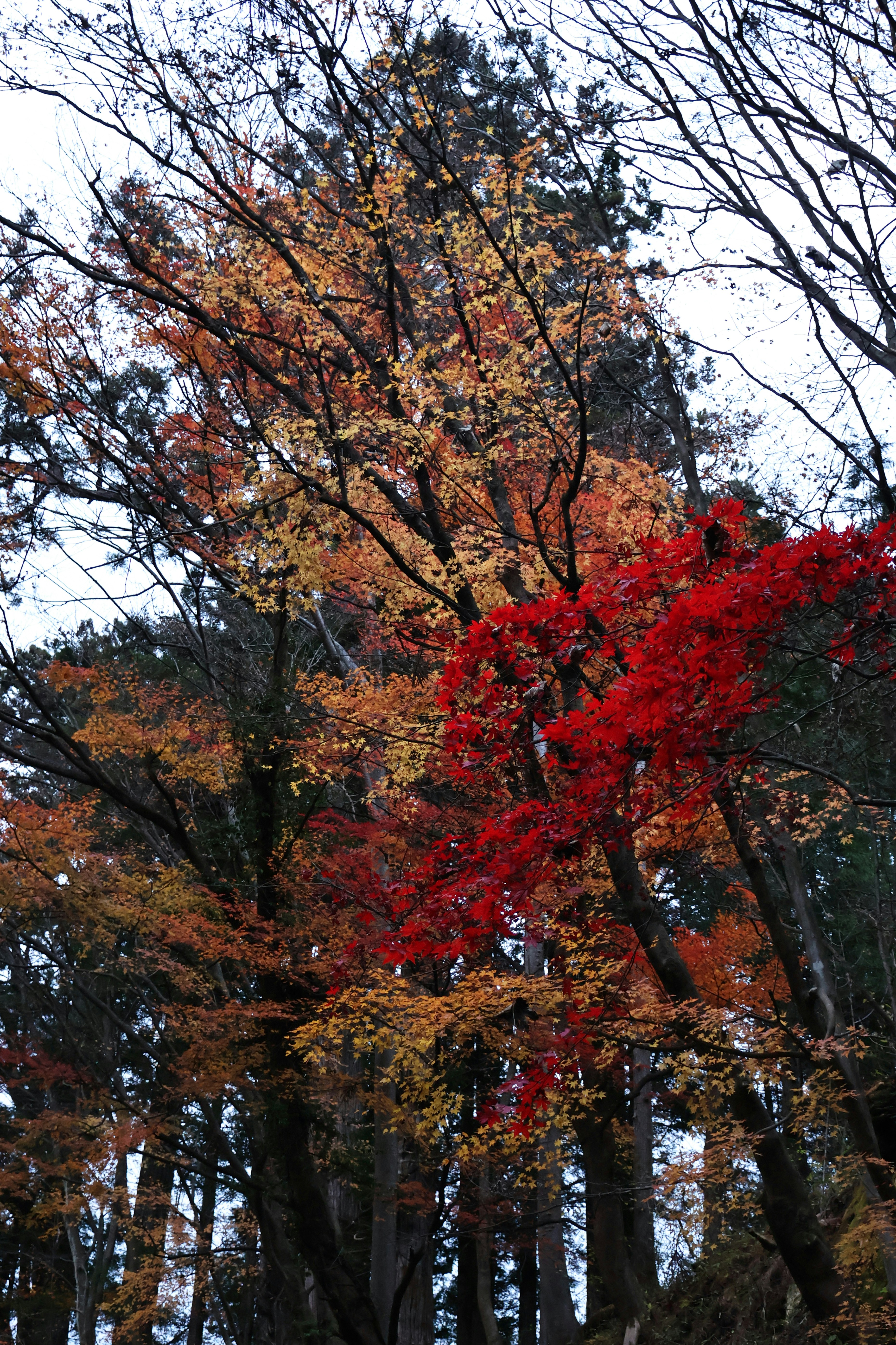 Photo by vickeekiwiwow