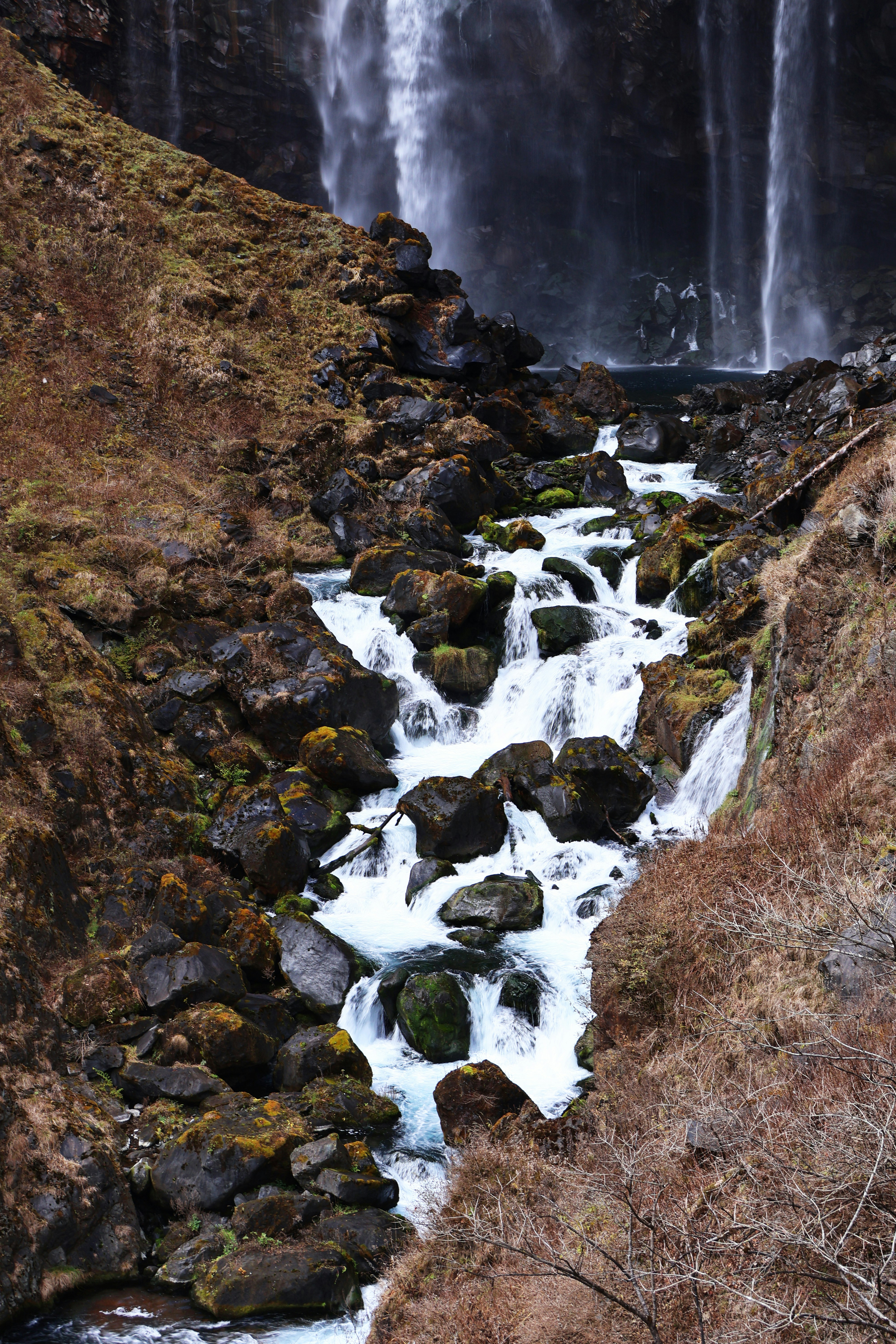 Photo by vickeekiwiwow