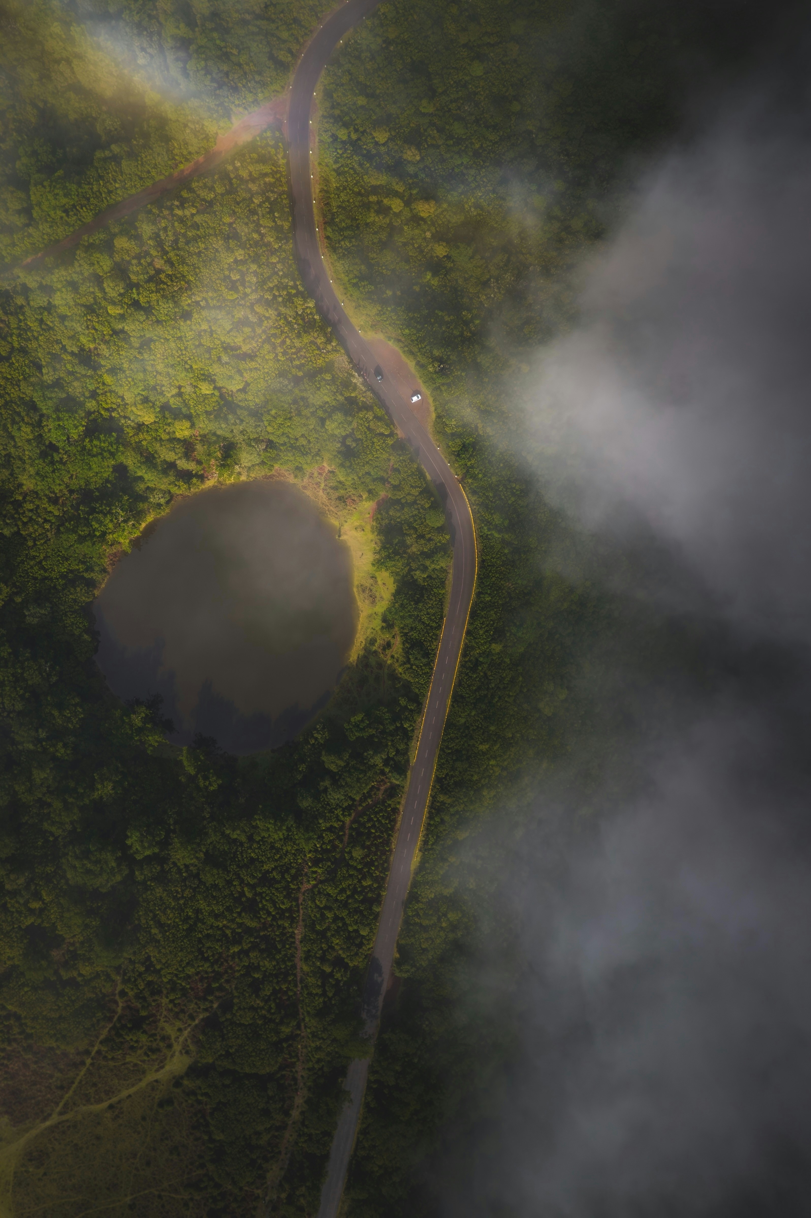 An aerial view of a road winding through a lush green forest by reinaldogaranito