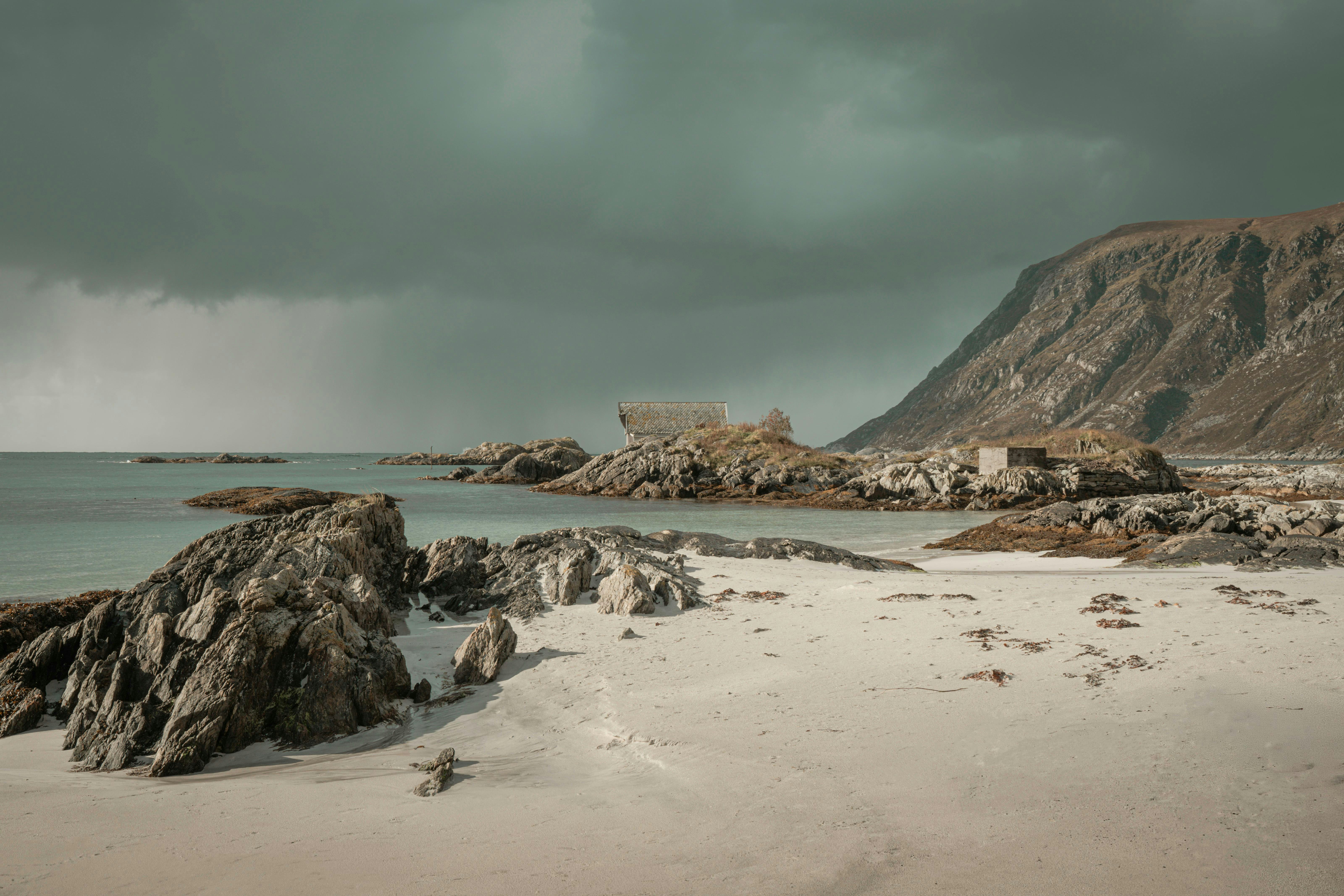 Photo by raulling