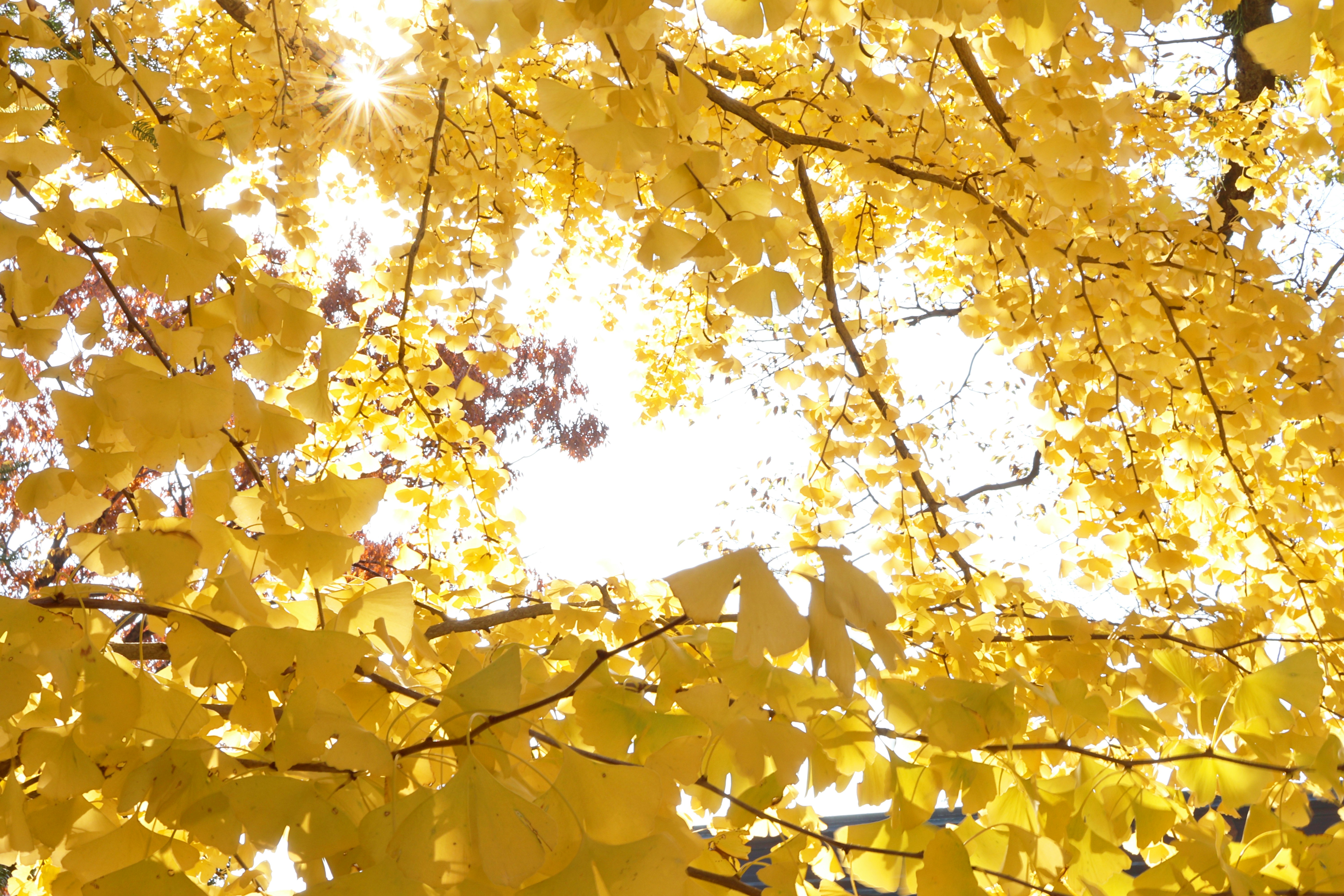 Photo by vickeekiwiwow