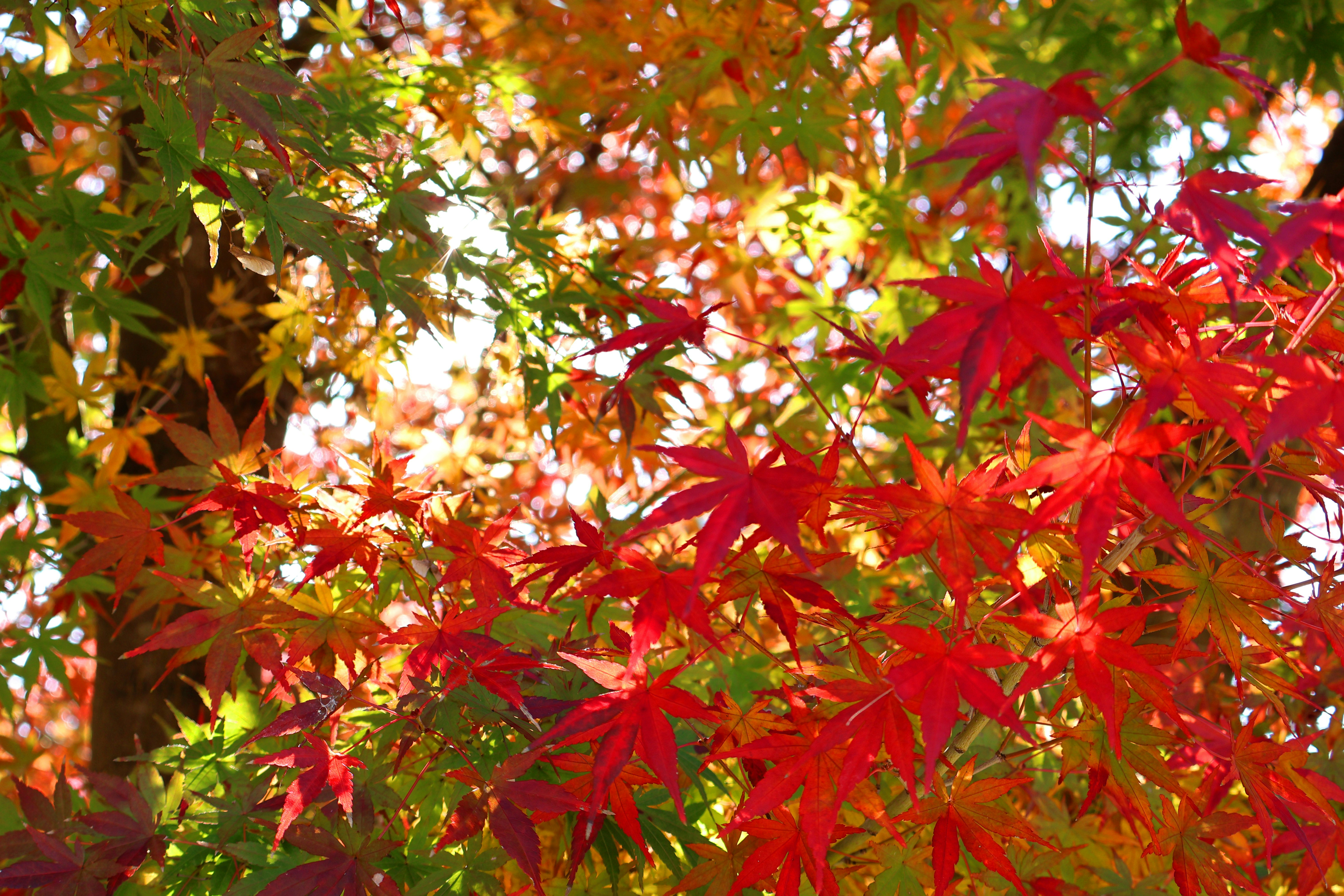 Photo by vickeekiwiwow