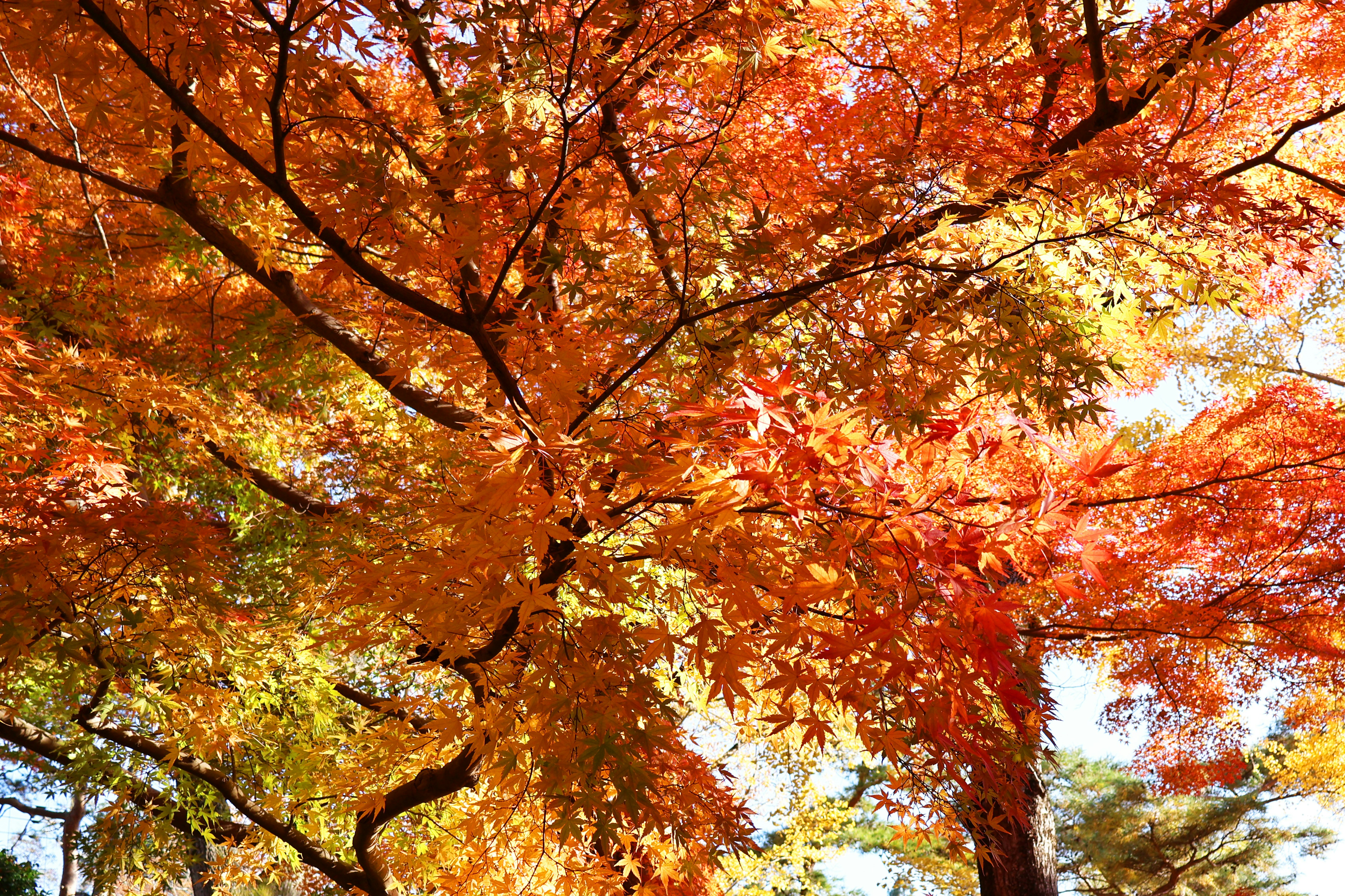 Photo by vickeekiwiwow