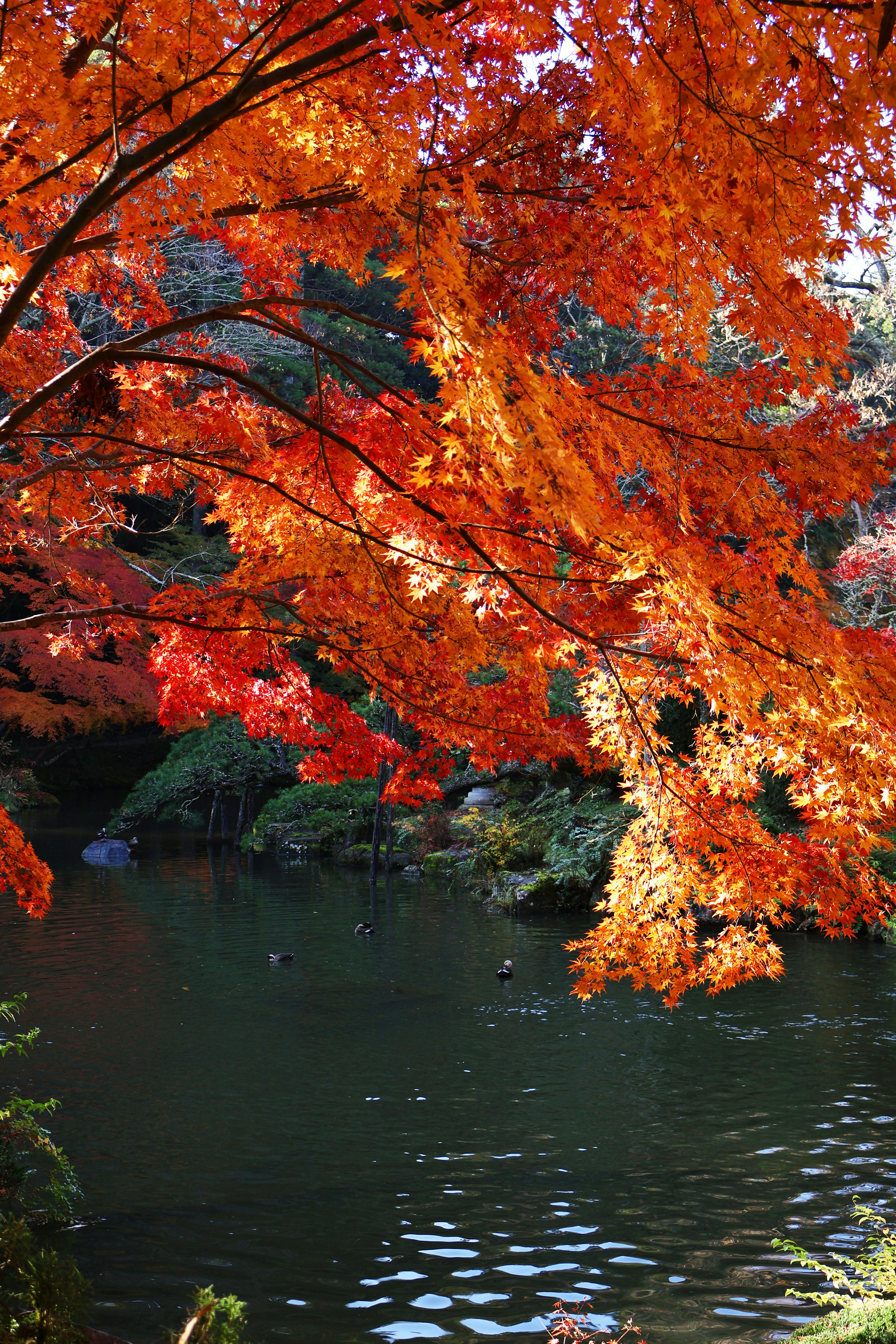 Photo by vickeekiwiwow